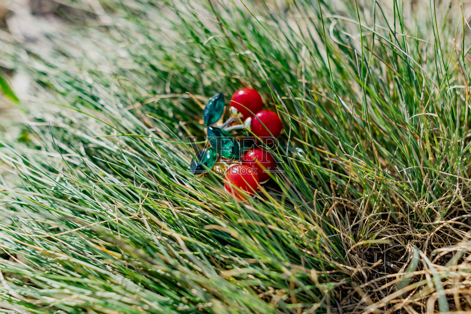 可爱的小胸针，红色的樱桃和绿色的叶子，用翠绿的石头做成。与不同的自然元素相结合照片摄影图片