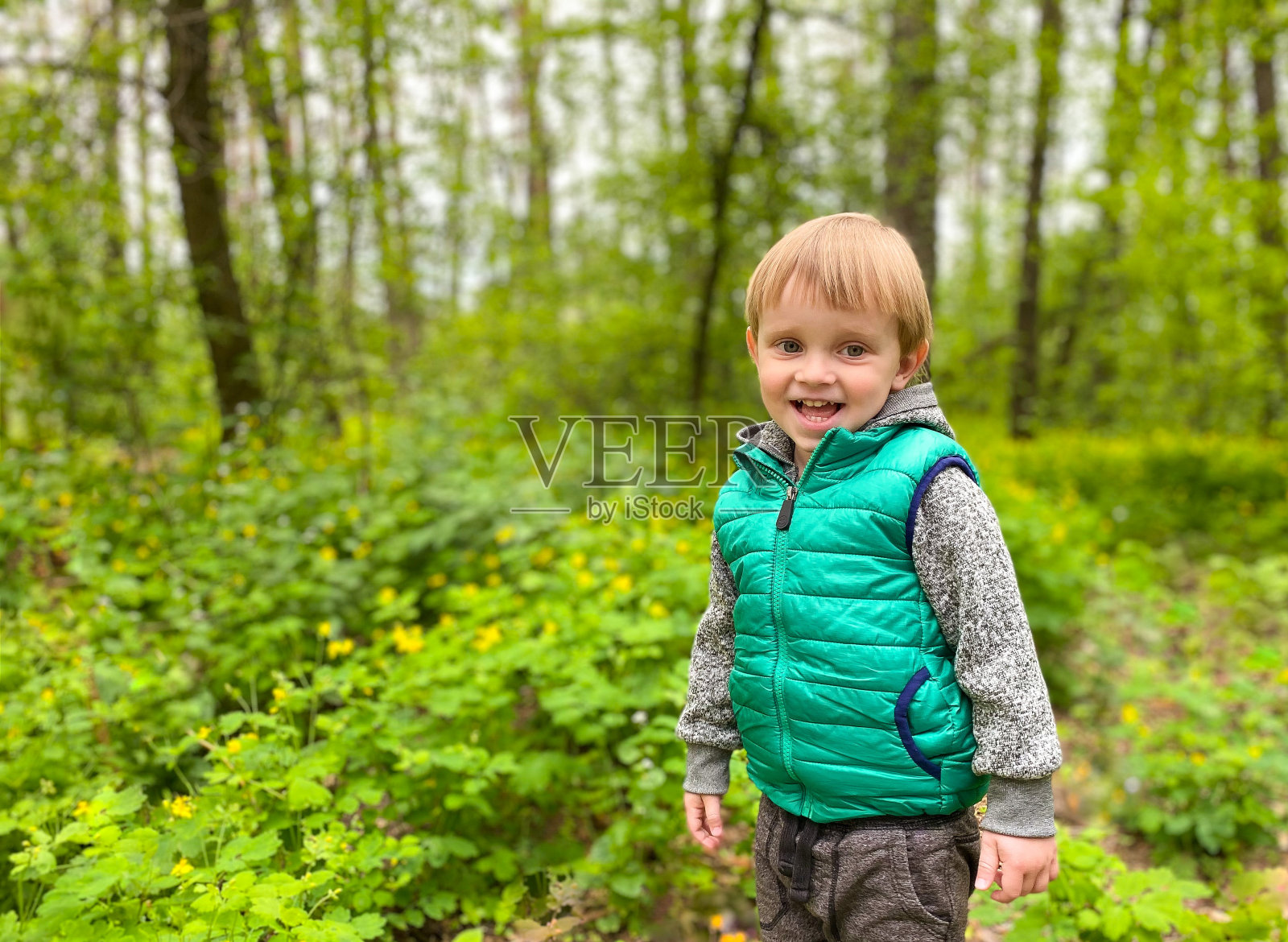 森林/公园里皮肤白皙的快乐的小男孩。自由空间。照片摄影图片