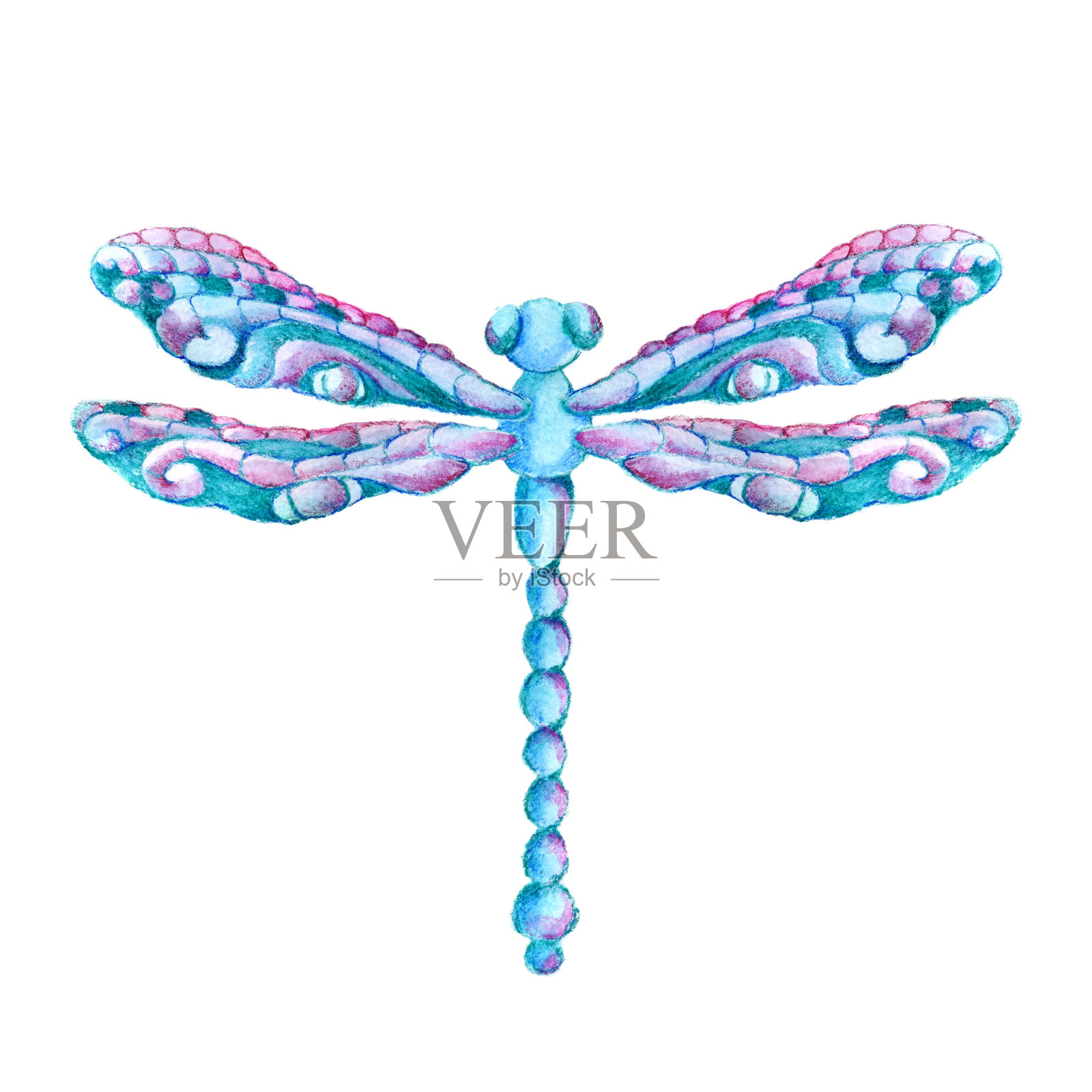 夏天的昆虫,蜻蜓。手水彩插图孤立的白色背景。夏季、自由、飞行的概念，用于印刷、封面、明信片、祝贺、邀请函的设计插画图片素材