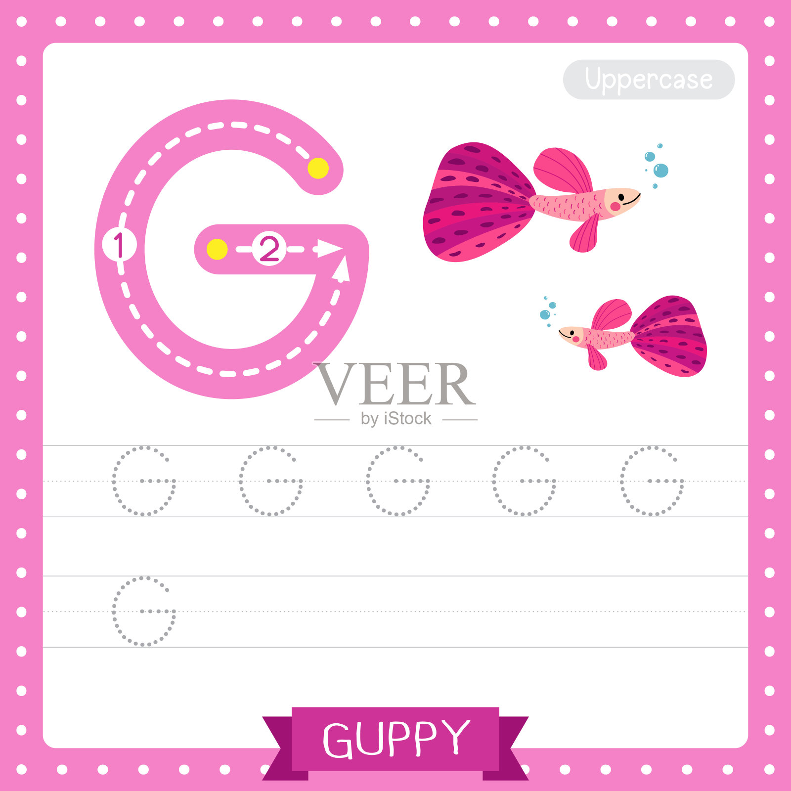 大写字母G追踪练习练习表。粉红色的古比鱼鱼插画图片素材