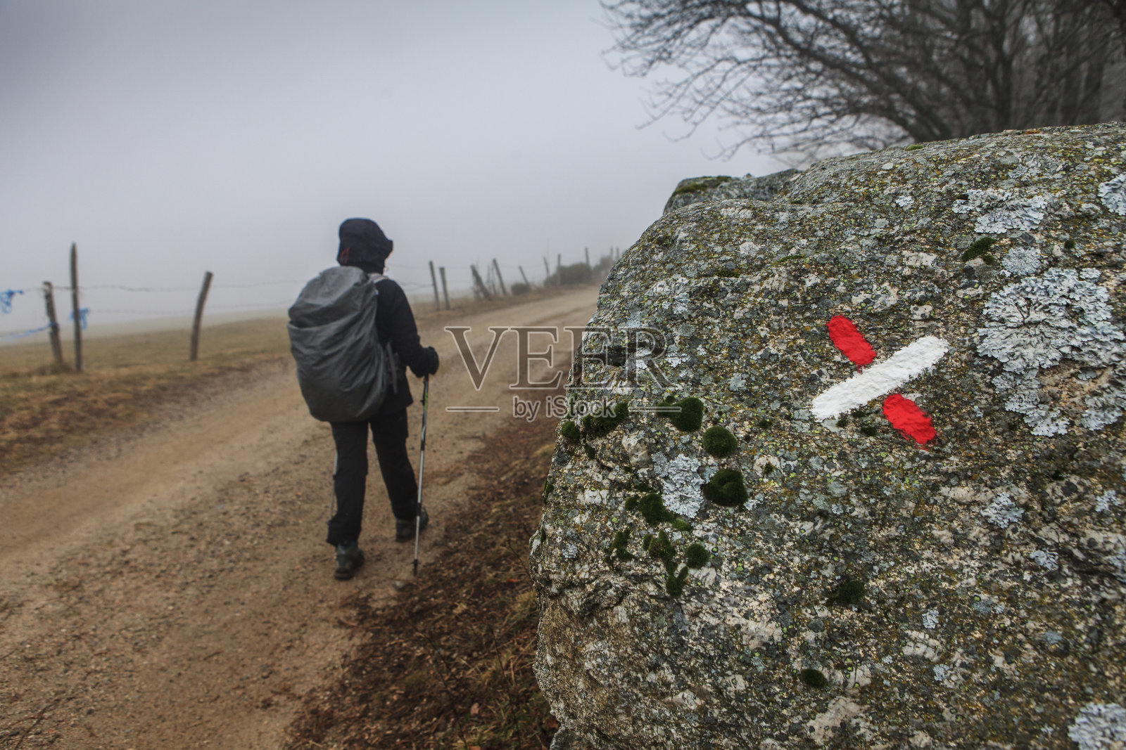 在森林里行走的女人照片摄影图片