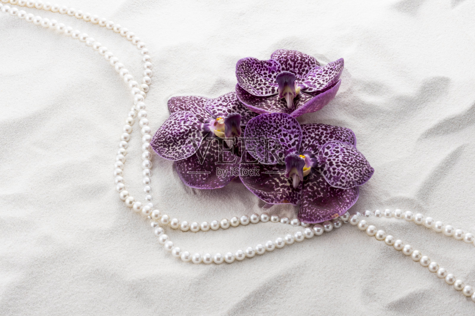 白色的波纹和兰花照片摄影图片