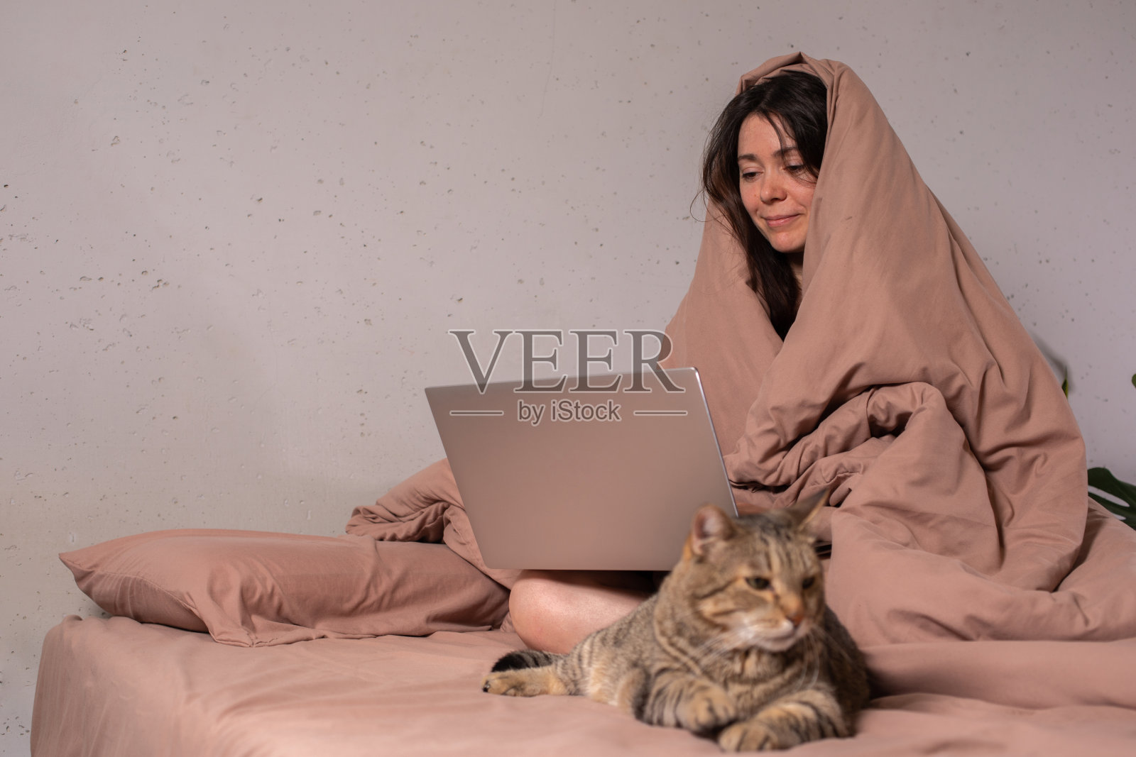 社会距离和孤立的概念。通过互联网远程在家工作。一位年轻女子在家里用电脑工作，旁边有一只猫。隔离。照片摄影图片