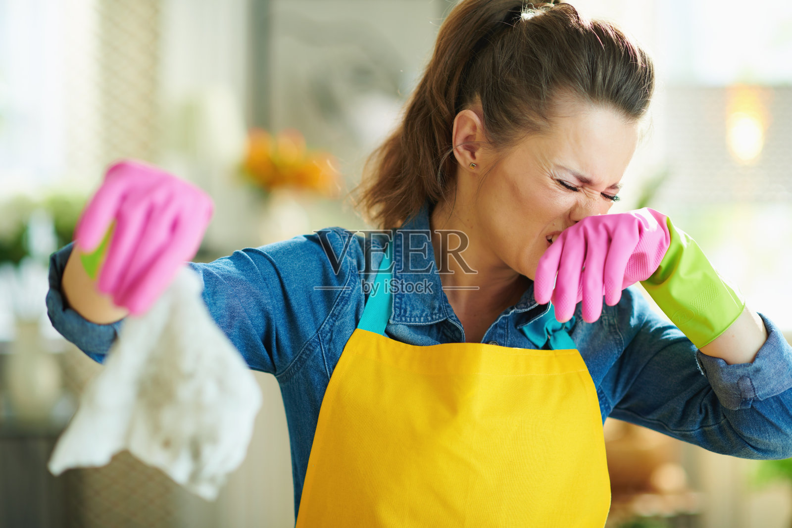 家庭主妇在现代家庭在阳光灿烂的日子显示脏湿擦照片摄影图片