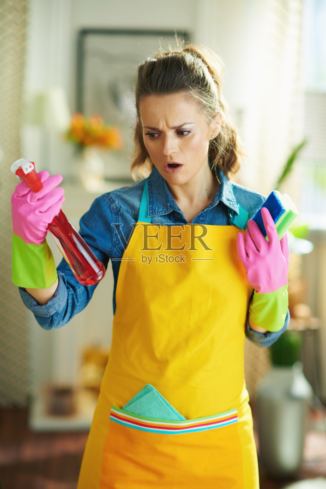 女人用清洁剂和海绵阅读指导照片摄影图片