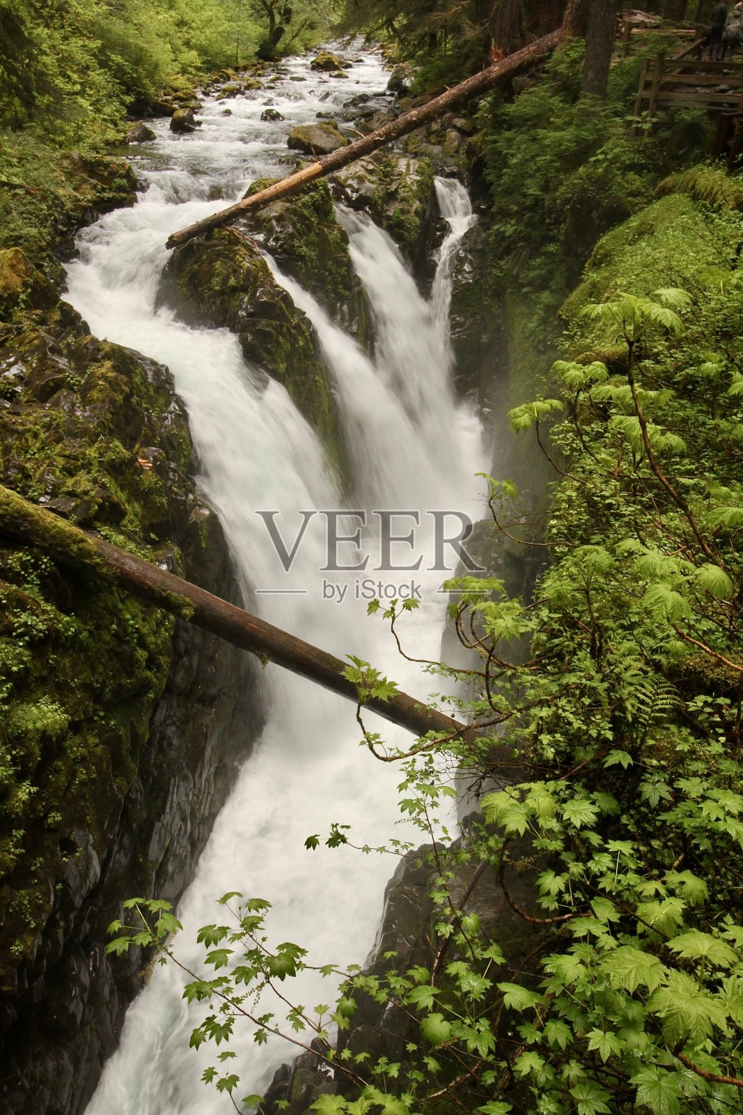 索尔达克瀑布在奥林匹克国家公园照片摄影图片