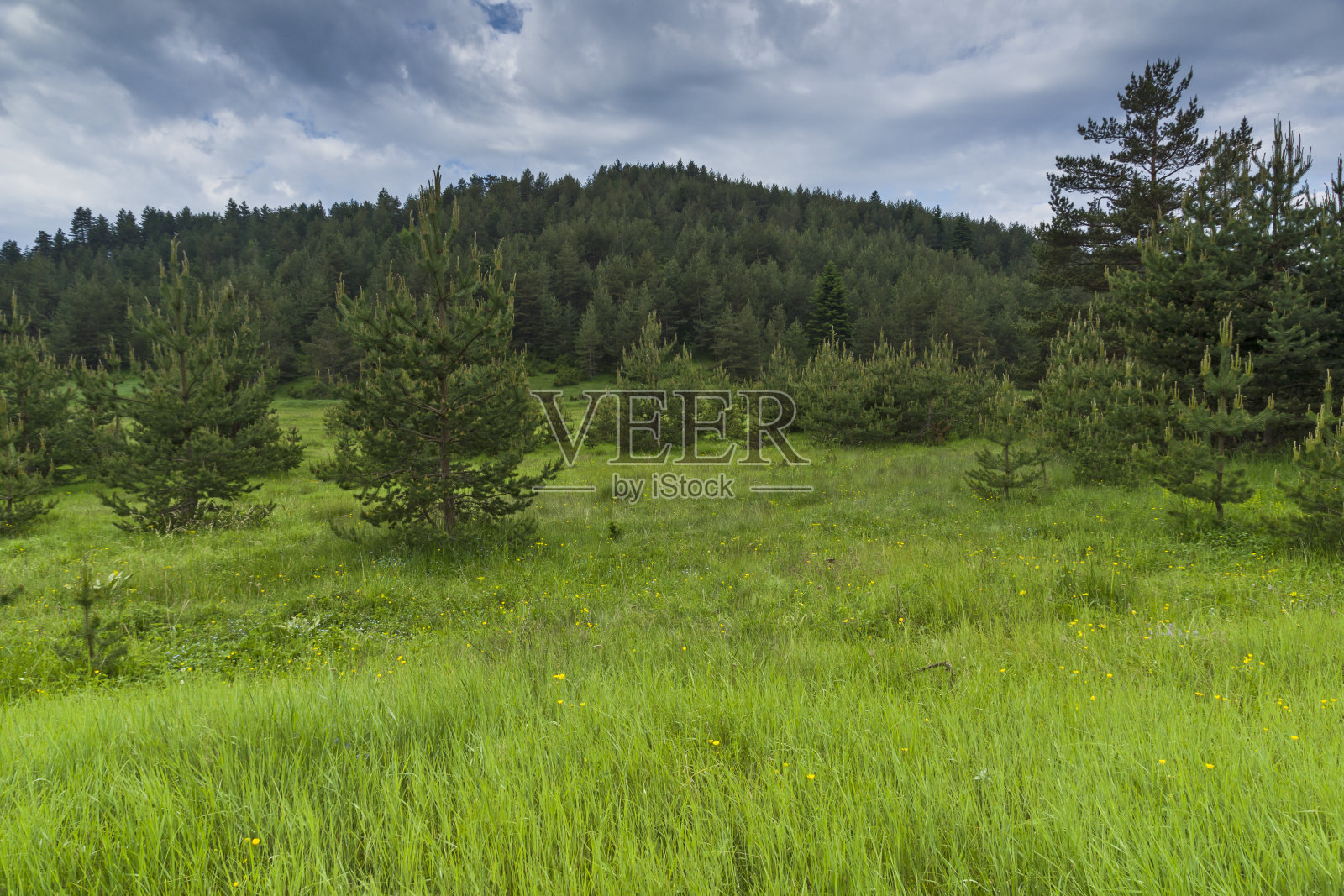 保加利亚多布罗斯坦村庄附近的Rhodope山照片摄影图片