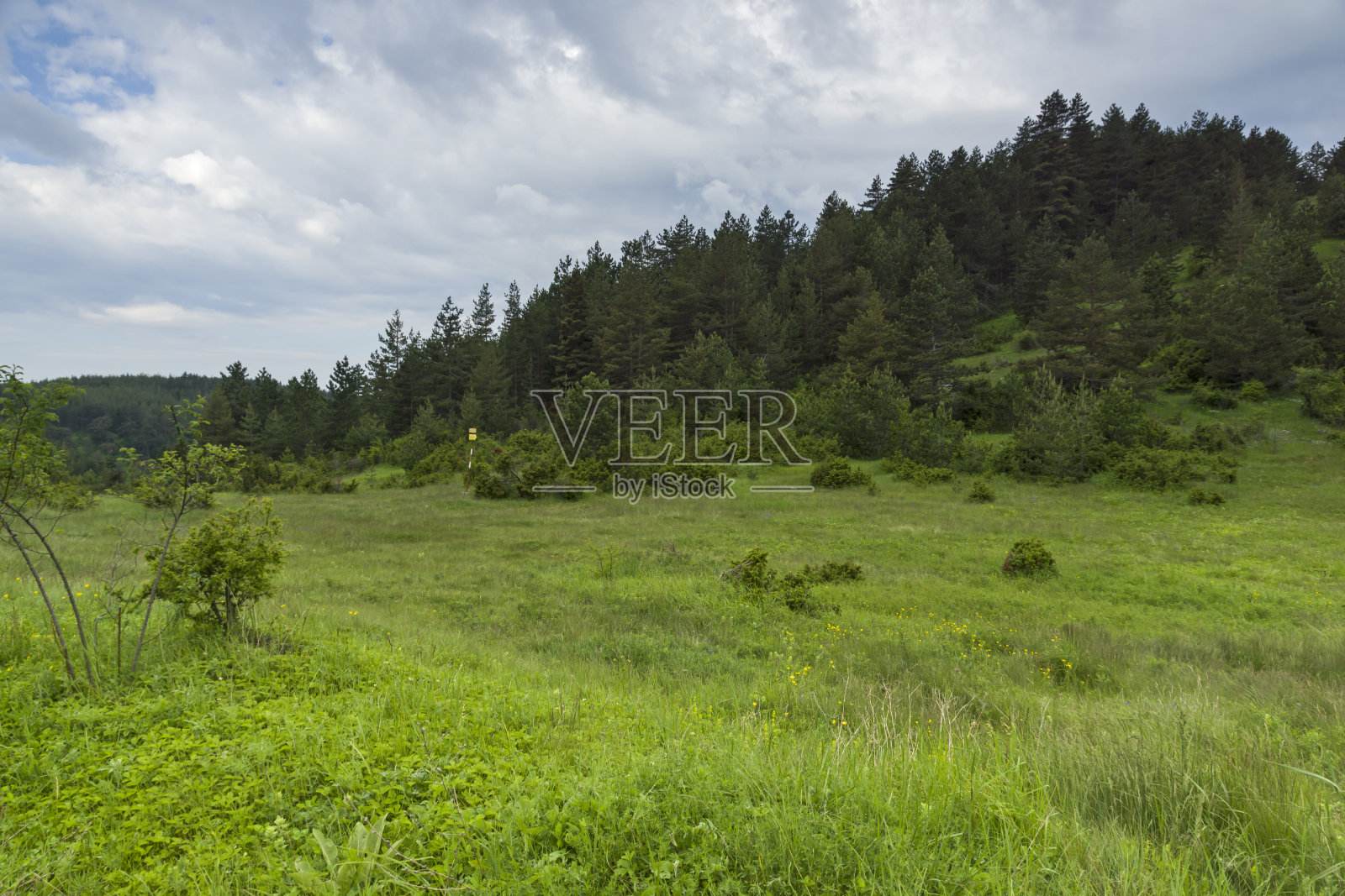 保加利亚多布罗斯坦村庄附近的Rhodope山照片摄影图片