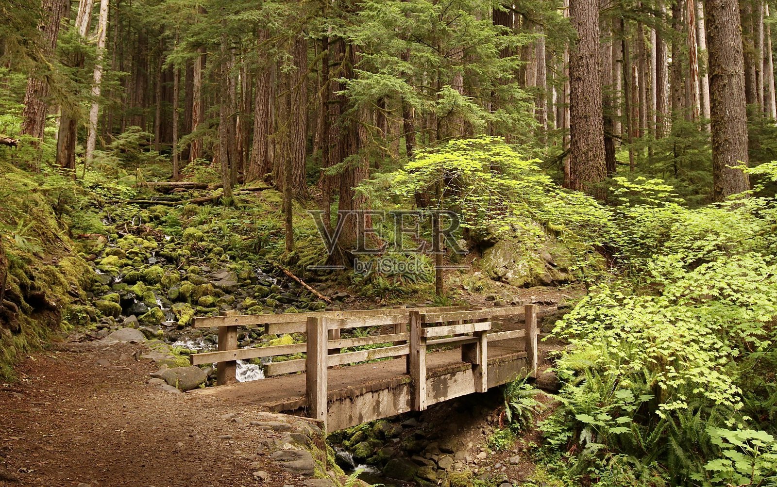 索尔杜克山谷小径上的小桥照片摄影图片