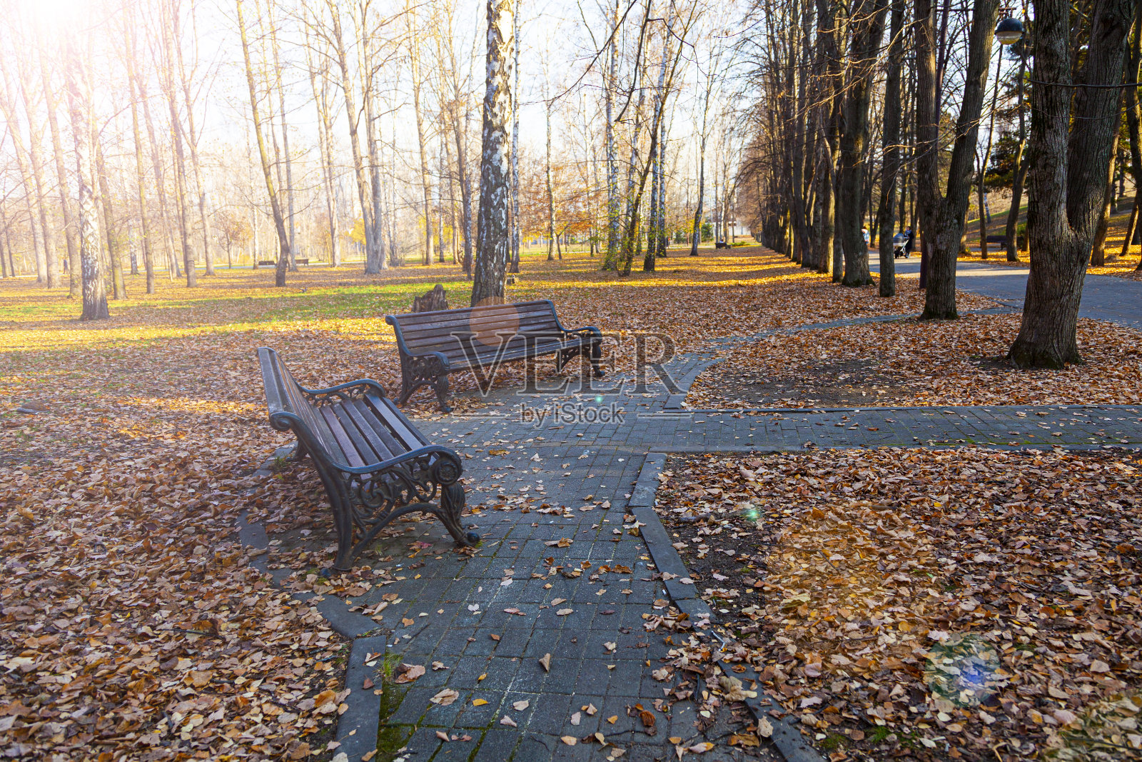 美丽的秋天的公园。照片摄影图片