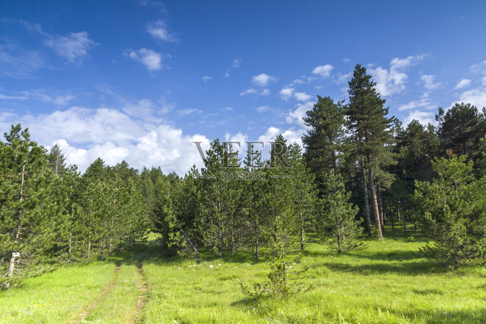 保加利亚多布罗斯坦村庄附近的Rhodope山照片摄影图片
