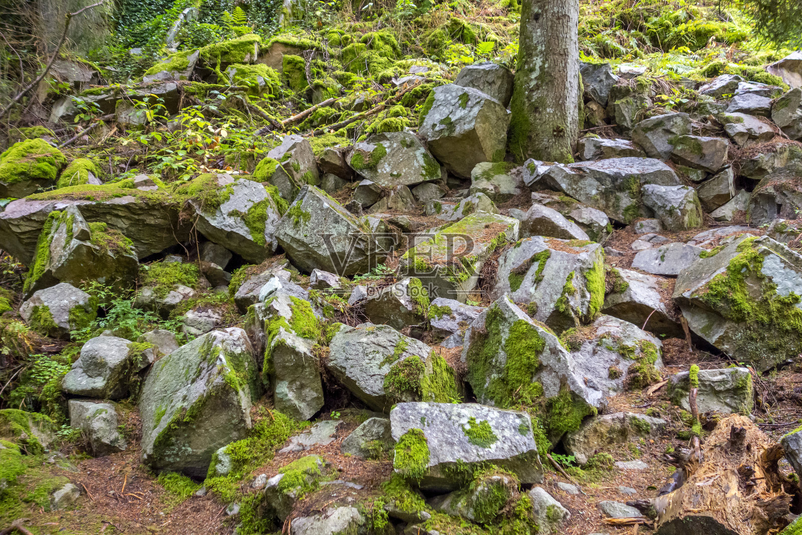 在法国的杰拉德默湖附近照片摄影图片