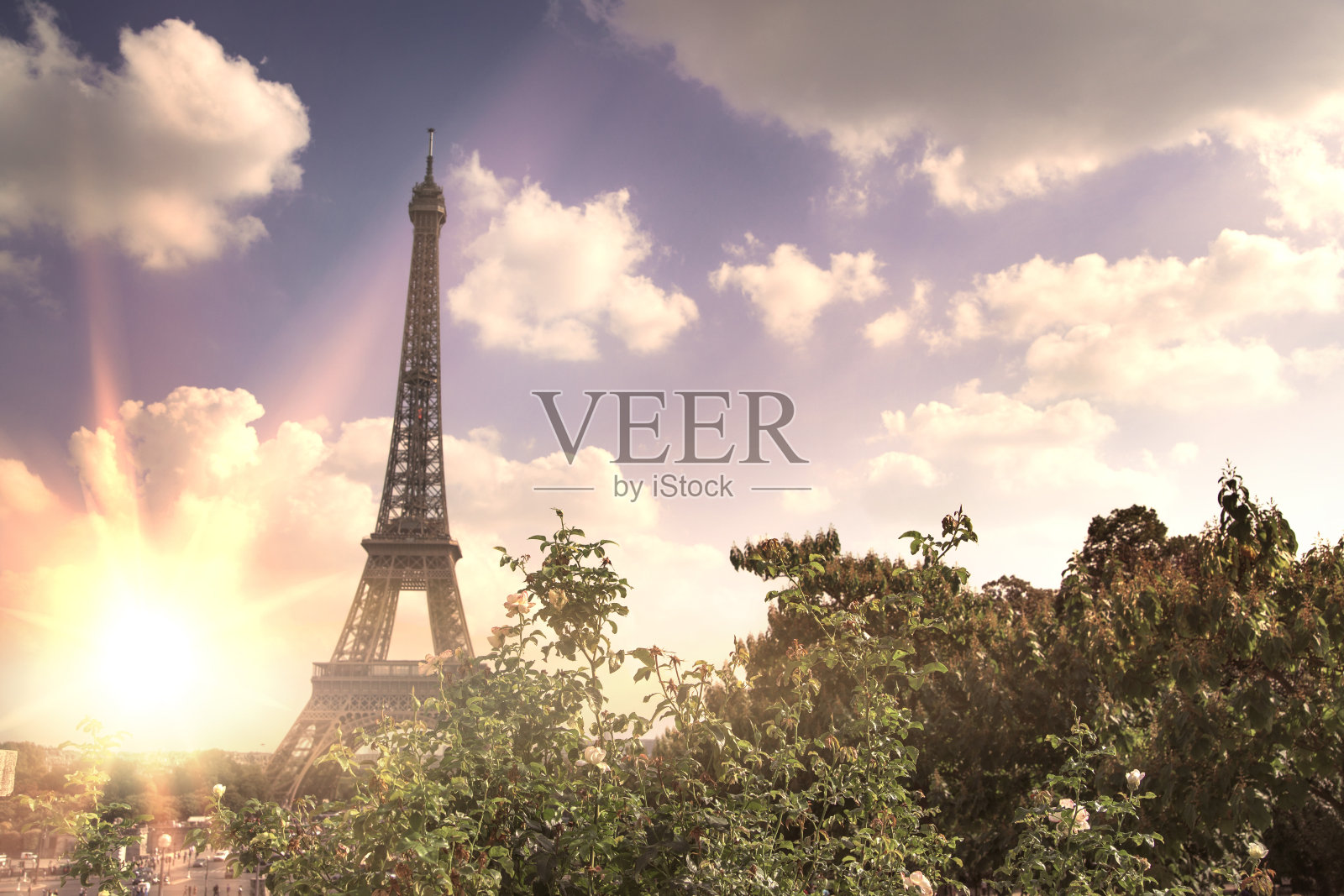 透过夏日的绿树和夕阳的余晖俯瞰埃菲尔铁塔。美丽浪漫的背景。法国巴黎战神广场的埃菲尔铁塔照片摄影图片