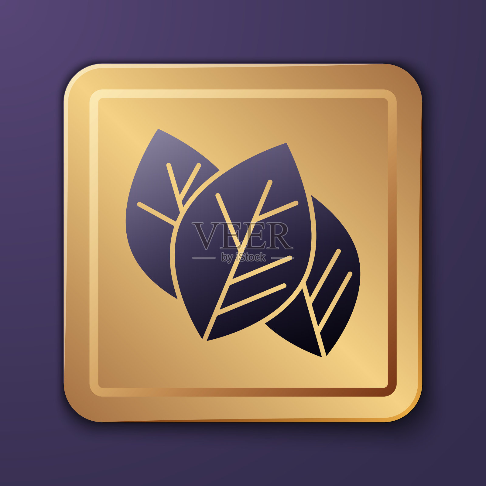 紫色叶子图标孤立在紫色背景插画图片素材