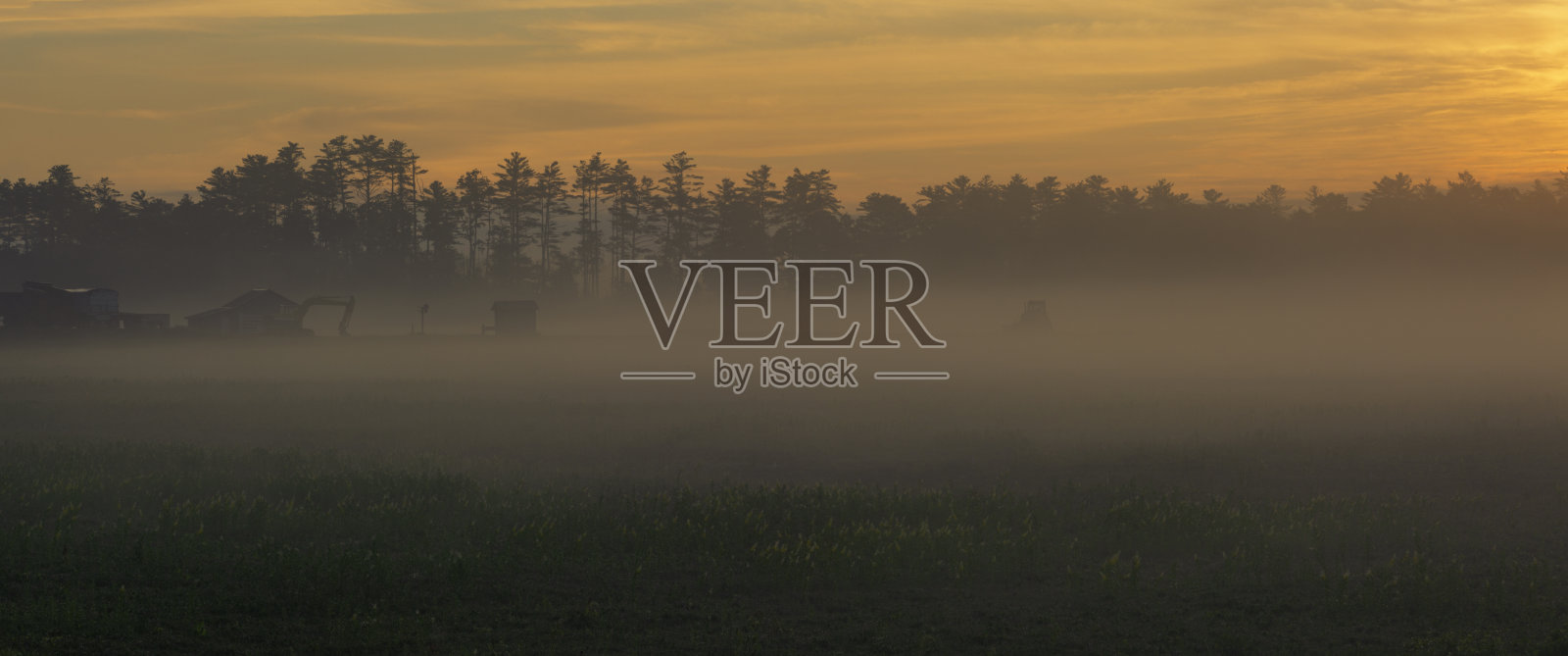 6月，科德角温暖、宁静、多雾的牧场全景照片摄影图片