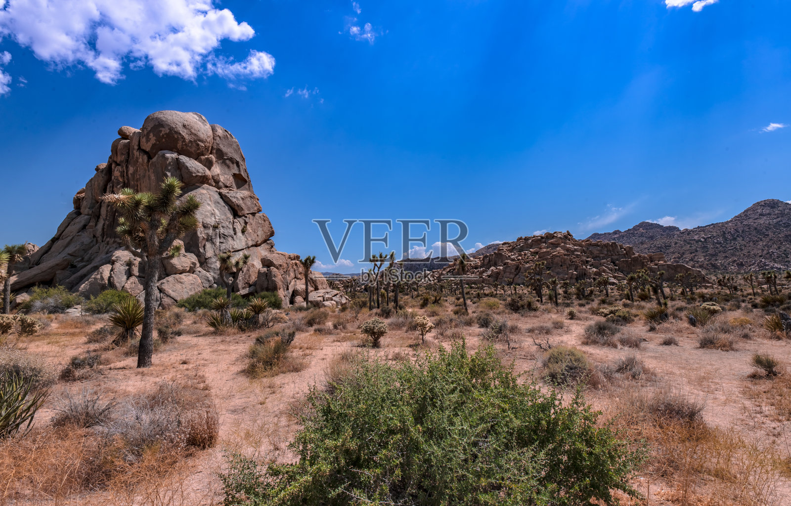 空的主意。照片摄影图片