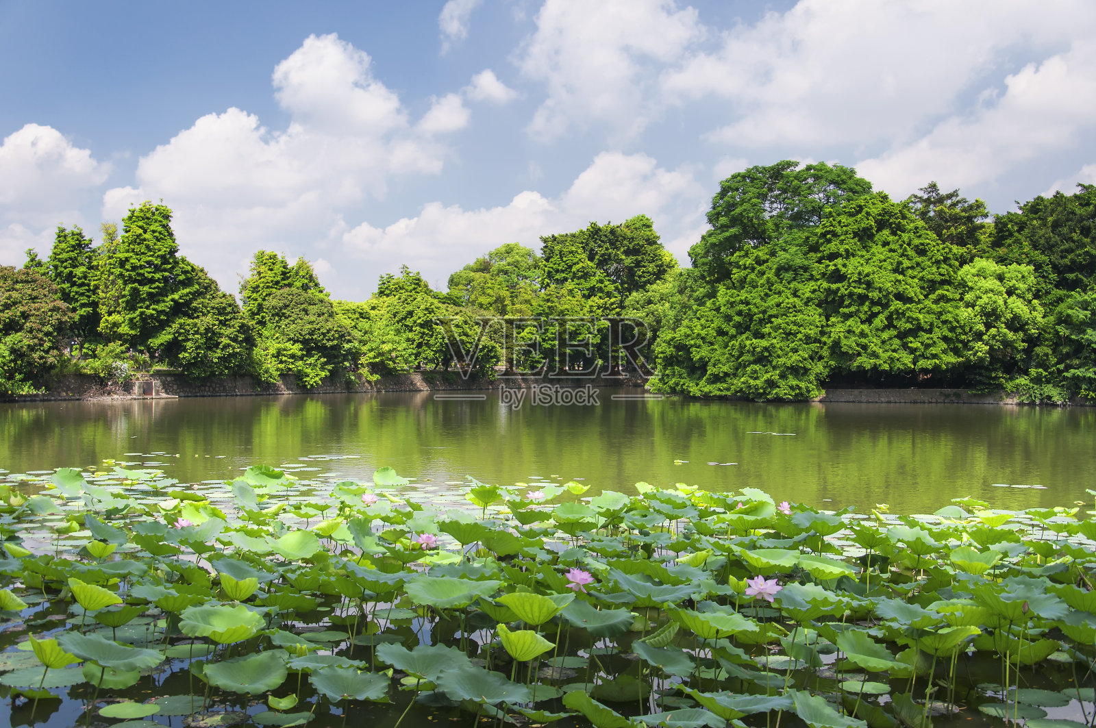 广州东山湖公园中国景观照片摄影图片