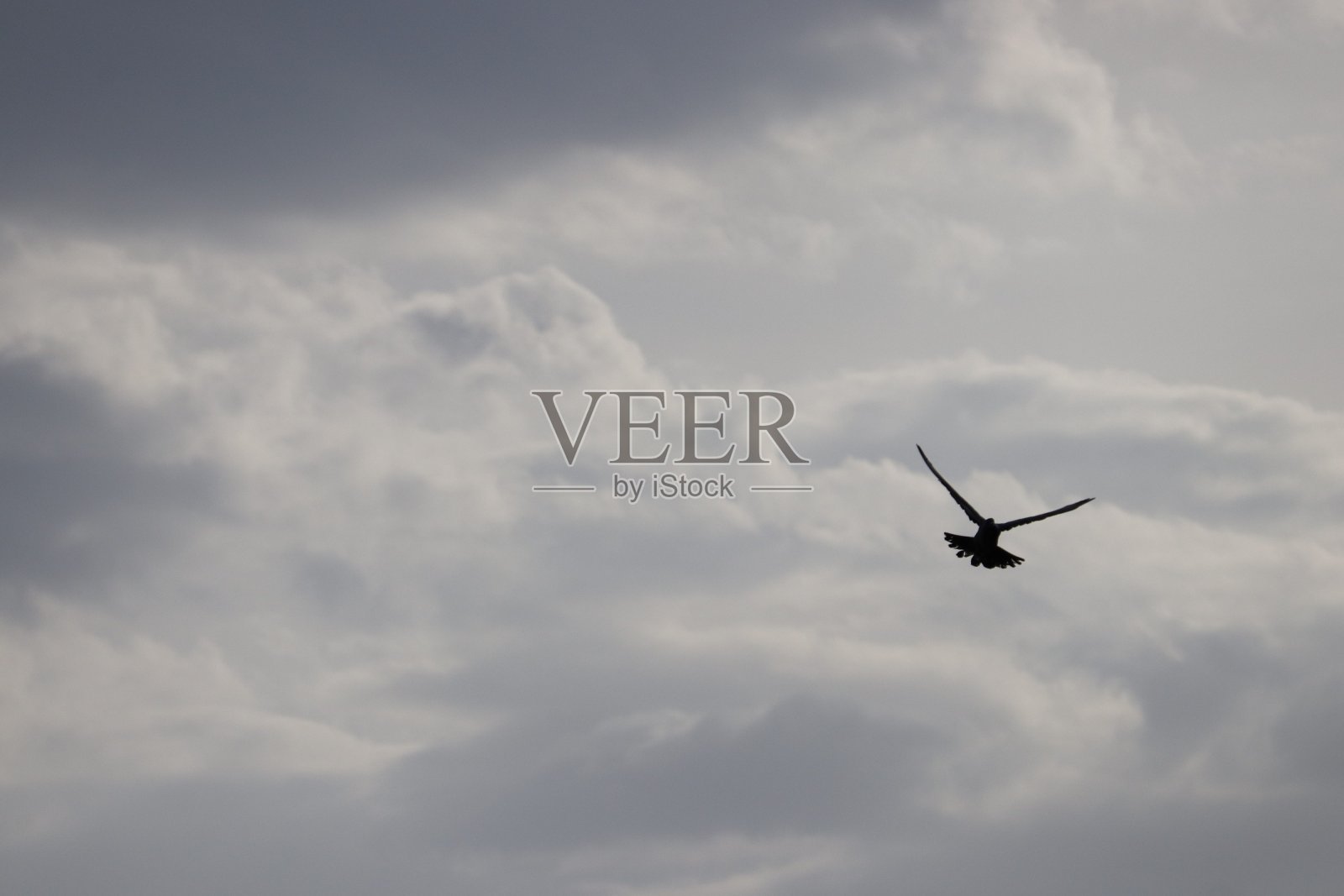 在自由空间独自旅行照片摄影图片