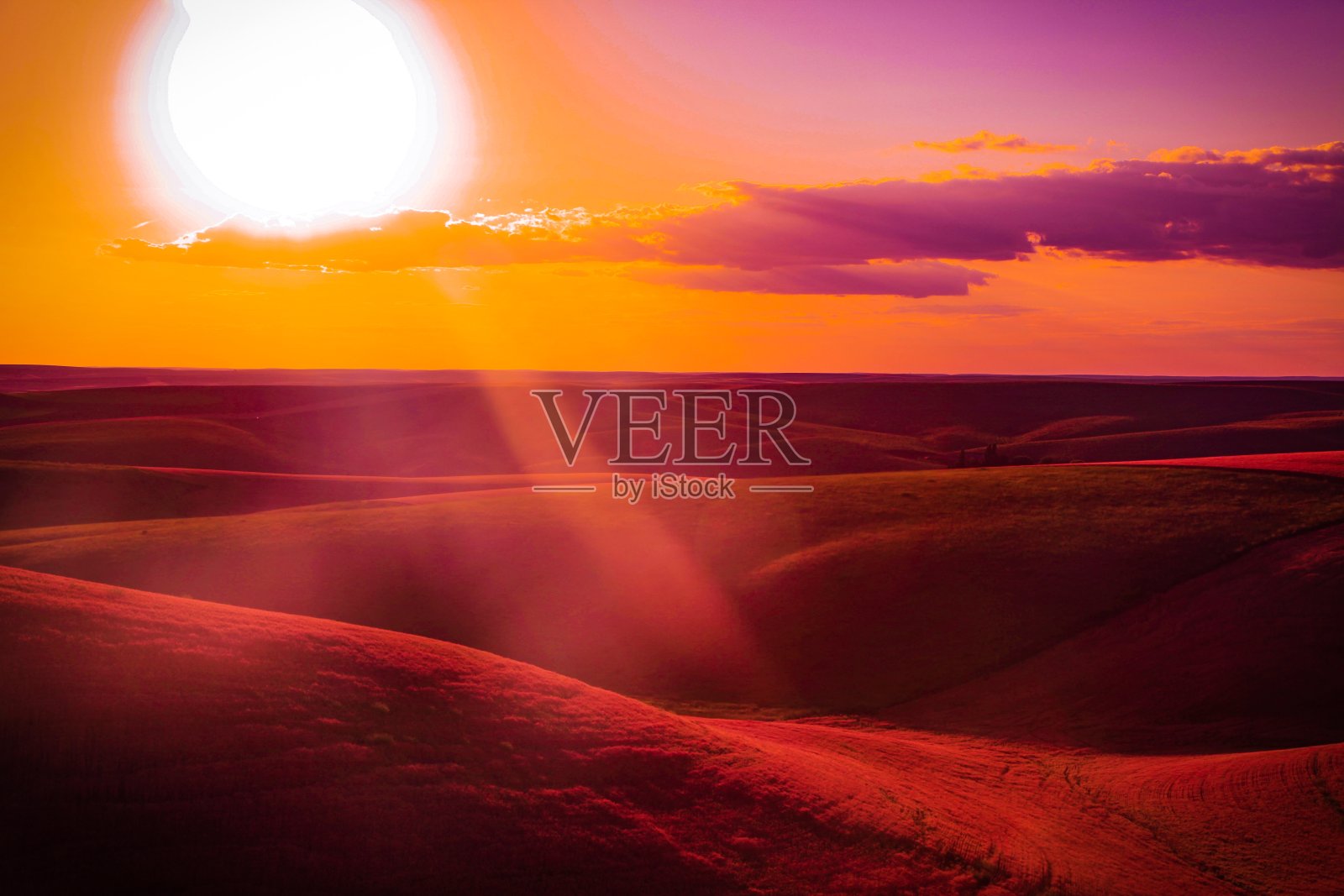 领域的吻照片摄影图片