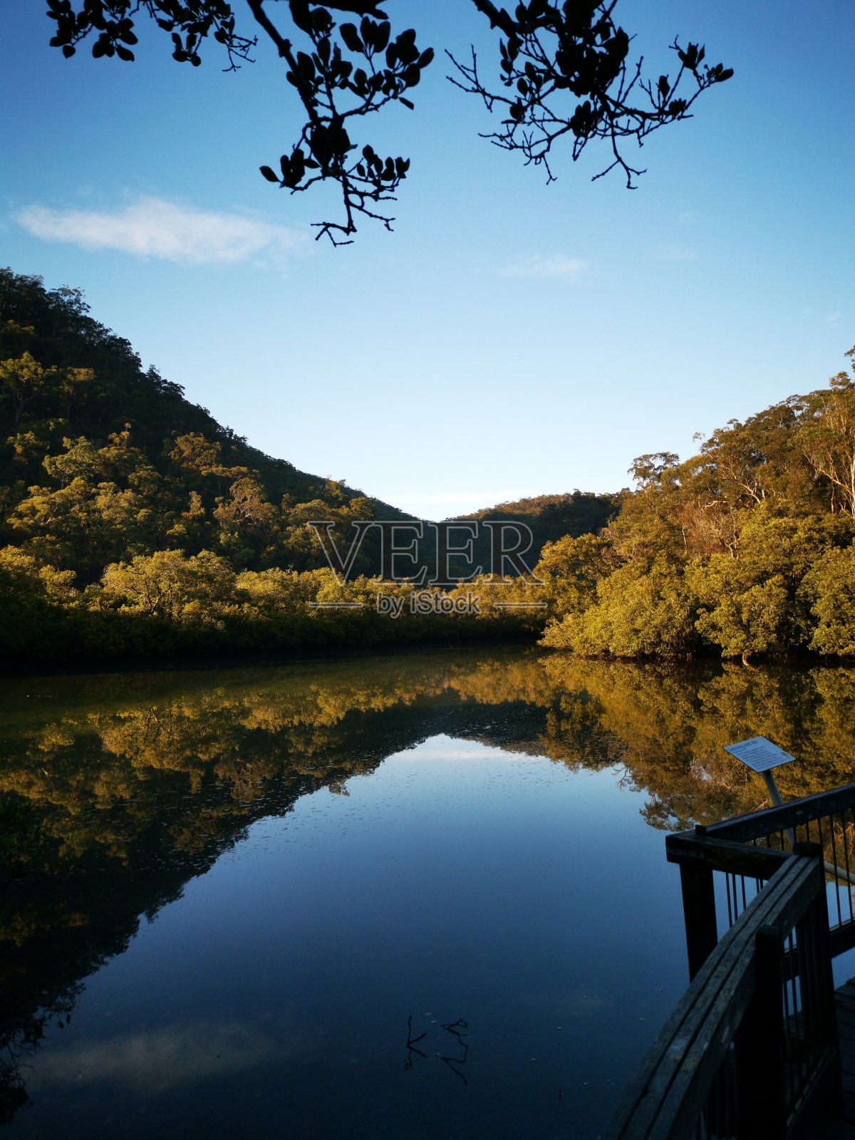 山和树在水面上美丽而平静的倒影照片摄影图片