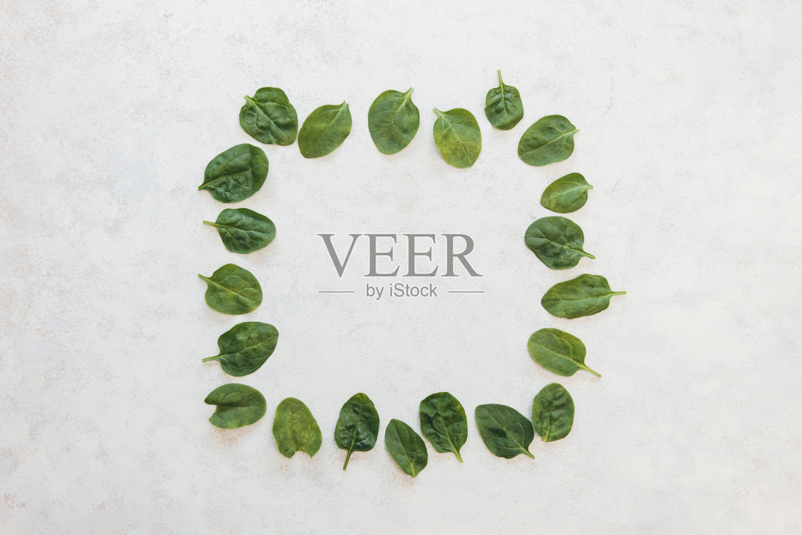 绿色的新鲜菠菜叶在白色的背景上，以图文框的形式排列照片摄影图片