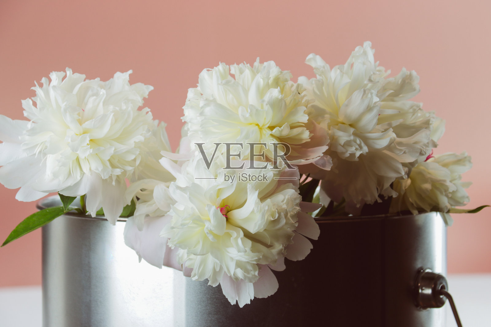 一束白牡丹在钢桶里照片摄影图片