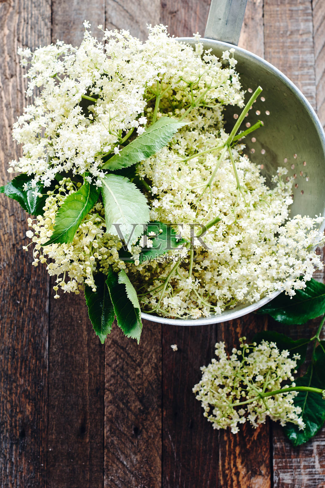 滤锅里的白色接骨木花。照片摄影图片