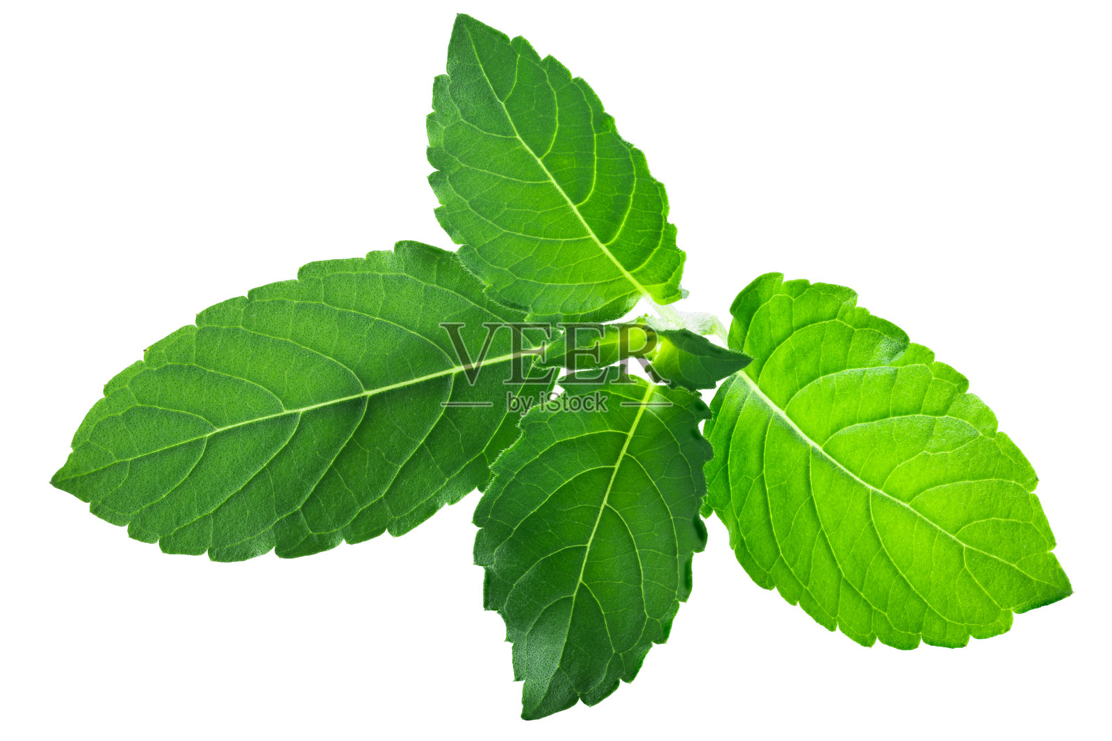 图尔西叶，路照片摄影图片