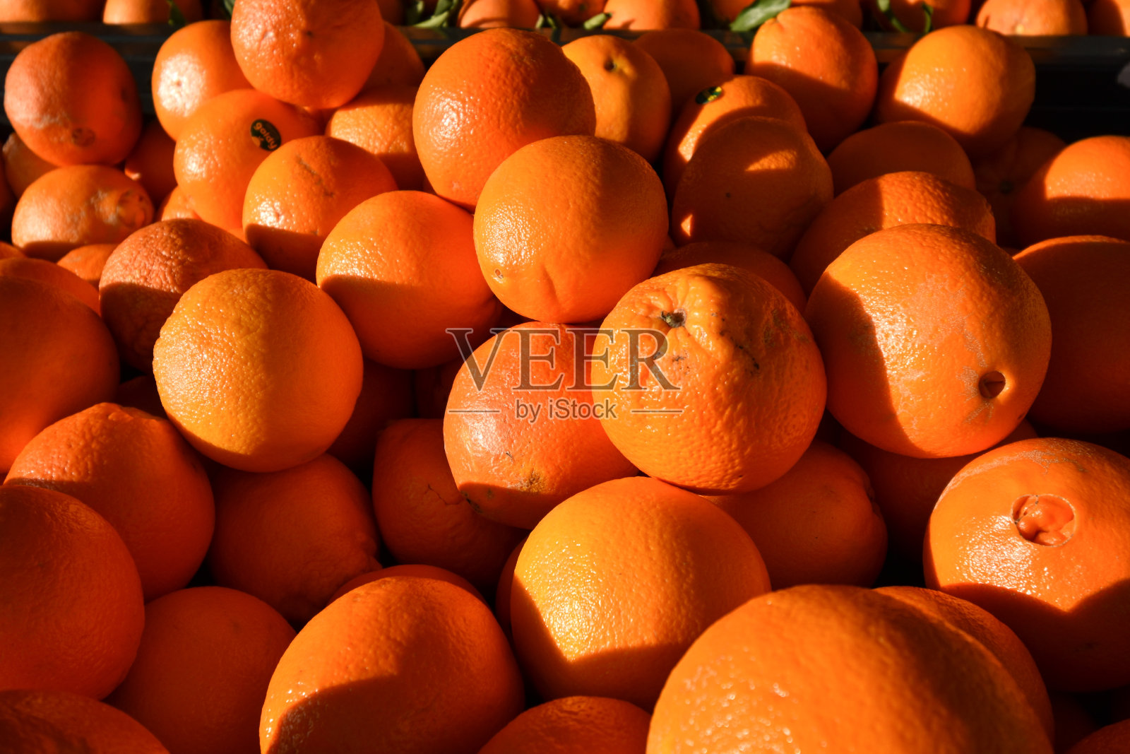 下午阳光下的橘子照片摄影图片