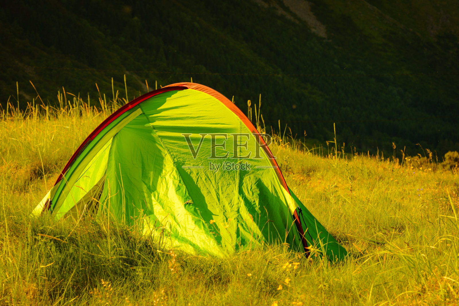 帐篷的本性。野营照片摄影图片