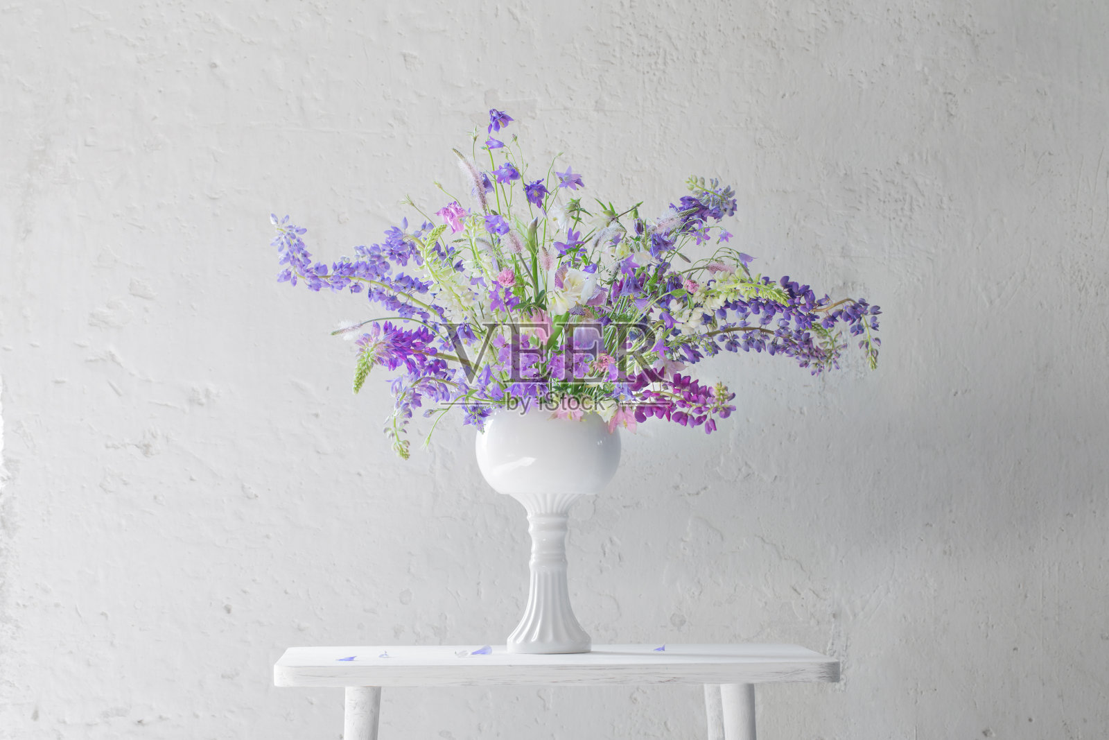 白色背景上的蓝色和紫色的夏日花束照片摄影图片