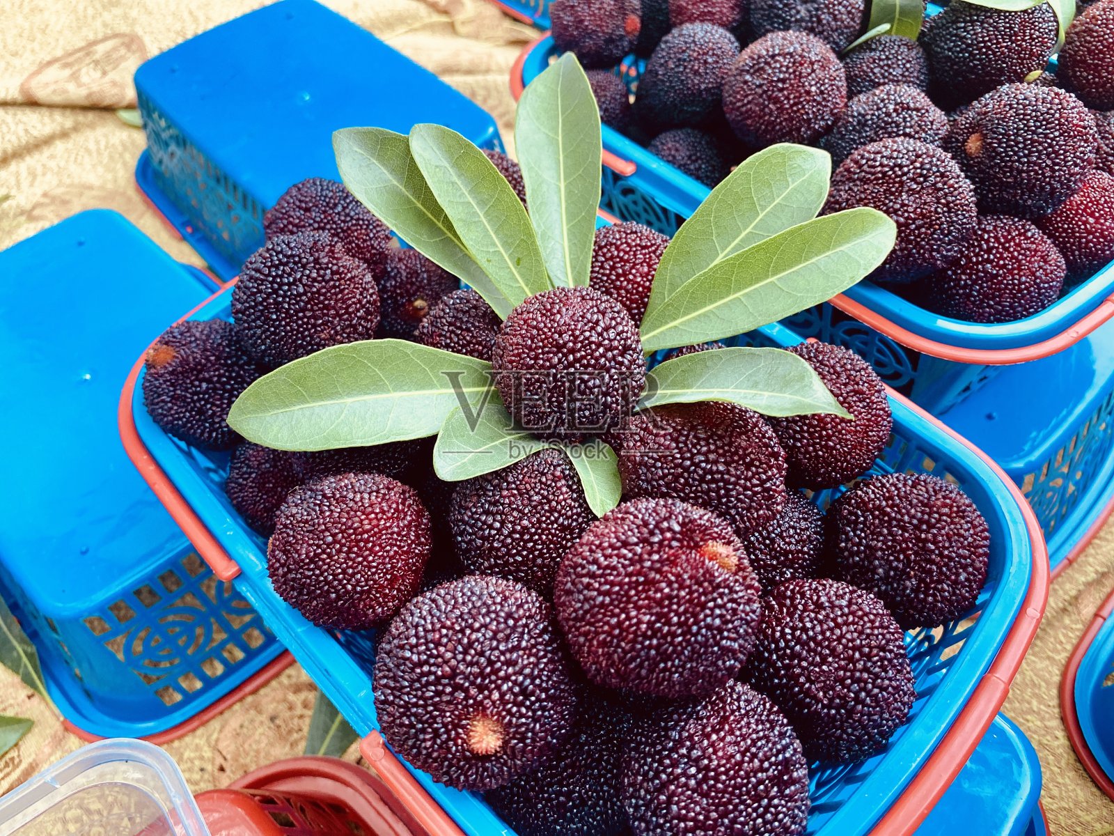 中国美味的杨梅照片摄影图片