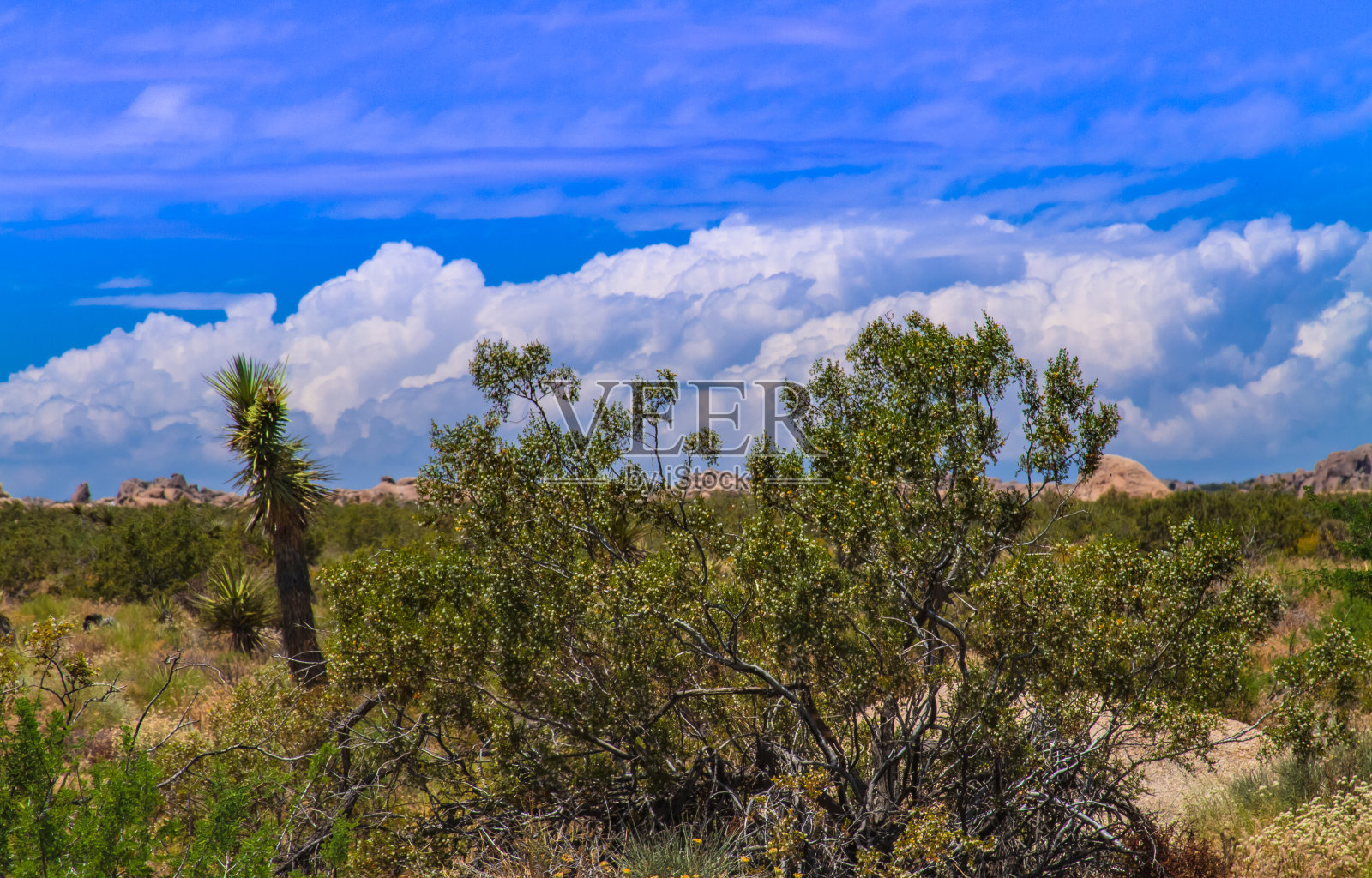 云的沙漠。照片摄影图片