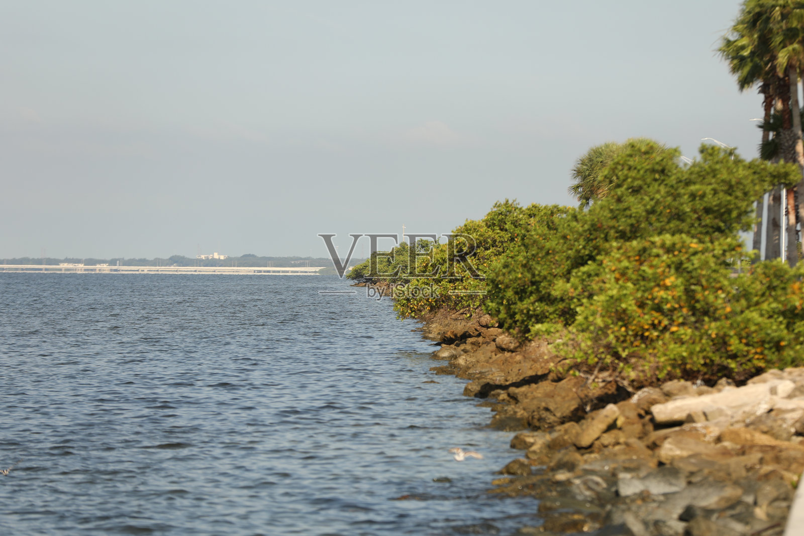 有岩石和植被的海岸线照片摄影图片