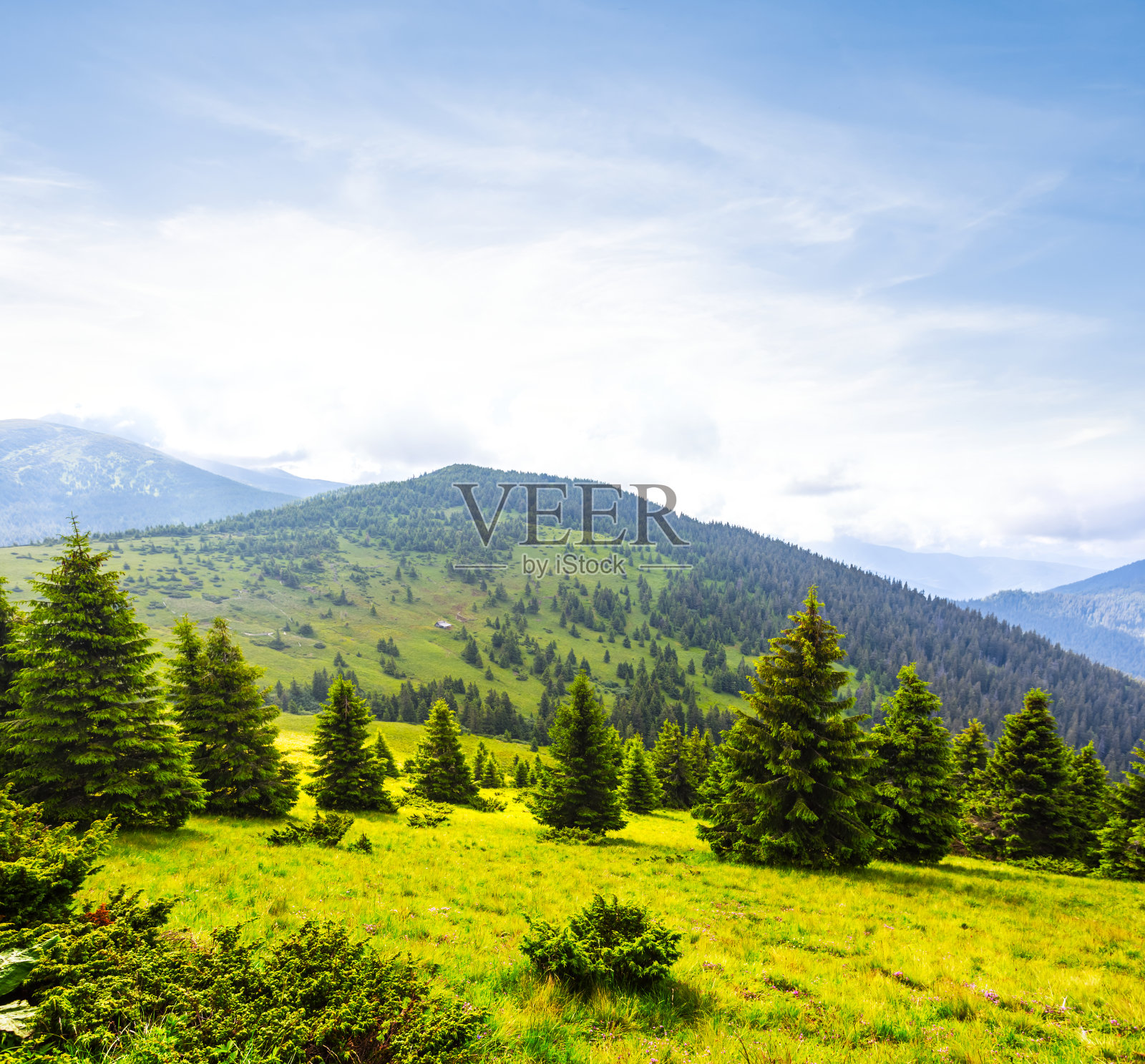 青山在夏日风光照片摄影图片