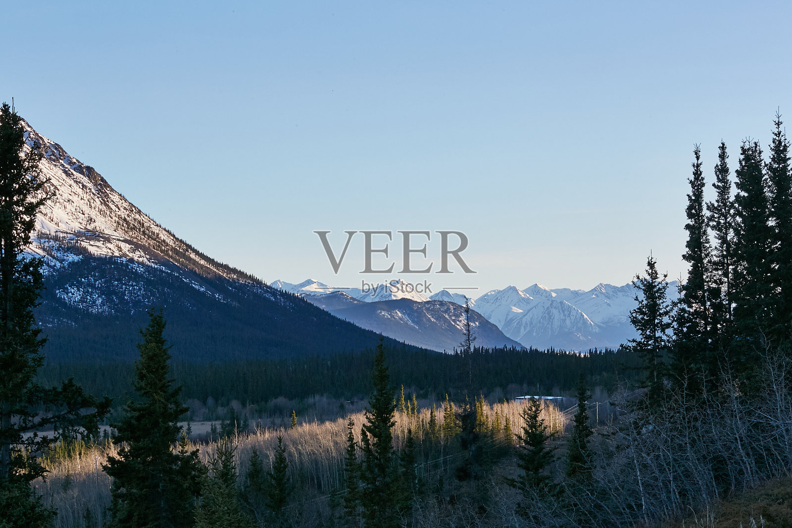 美丽的雪峰山景日落时间在加拿大育空的金色时间彩色的天空和树木照片摄影图片