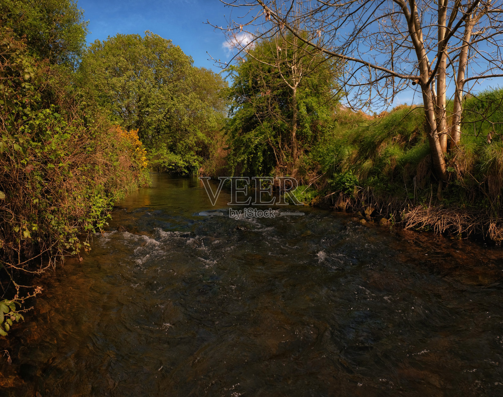 钓鳟鱼河照片摄影图片