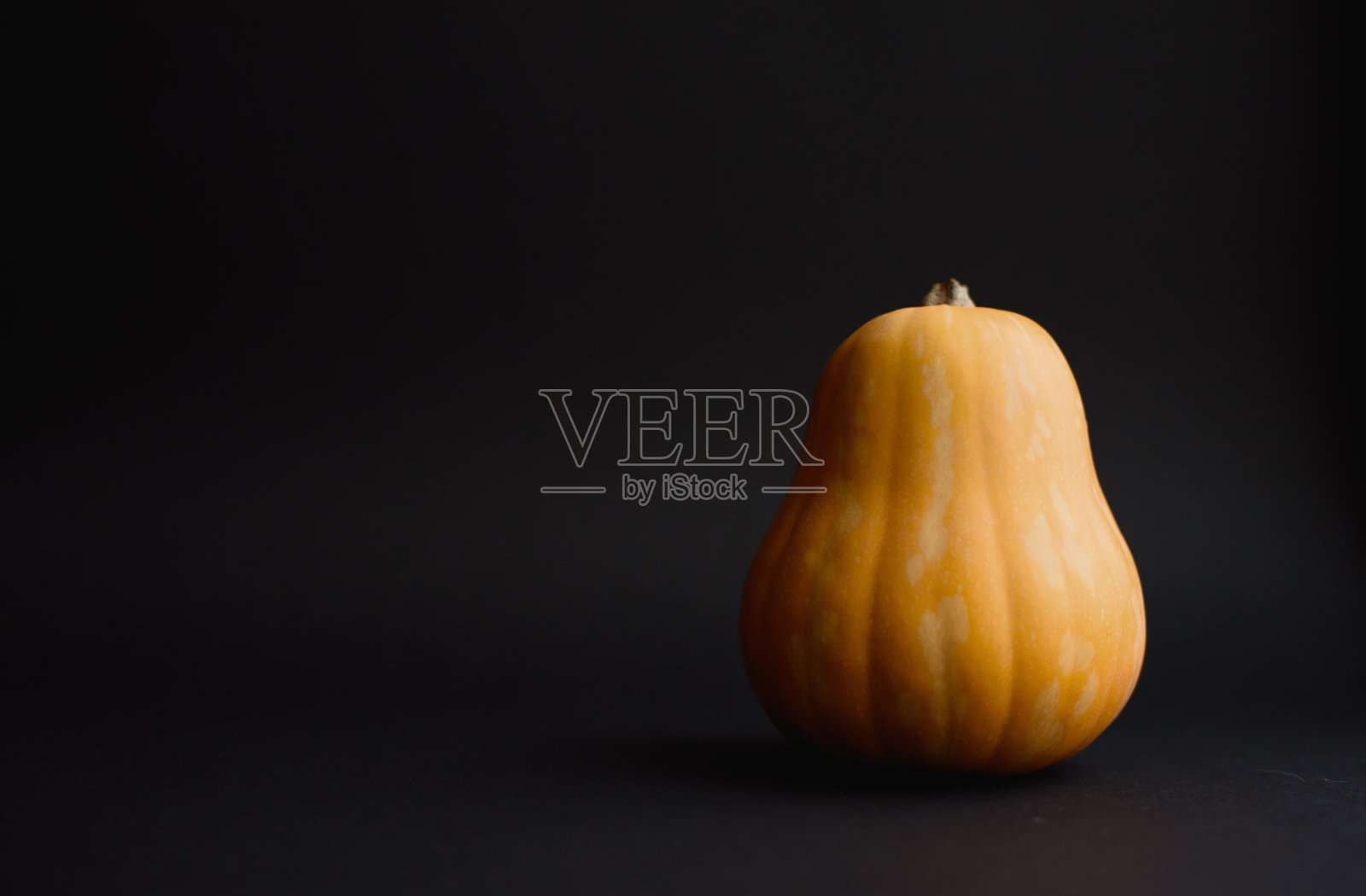 黑色背景上的南瓜。照片摄影图片