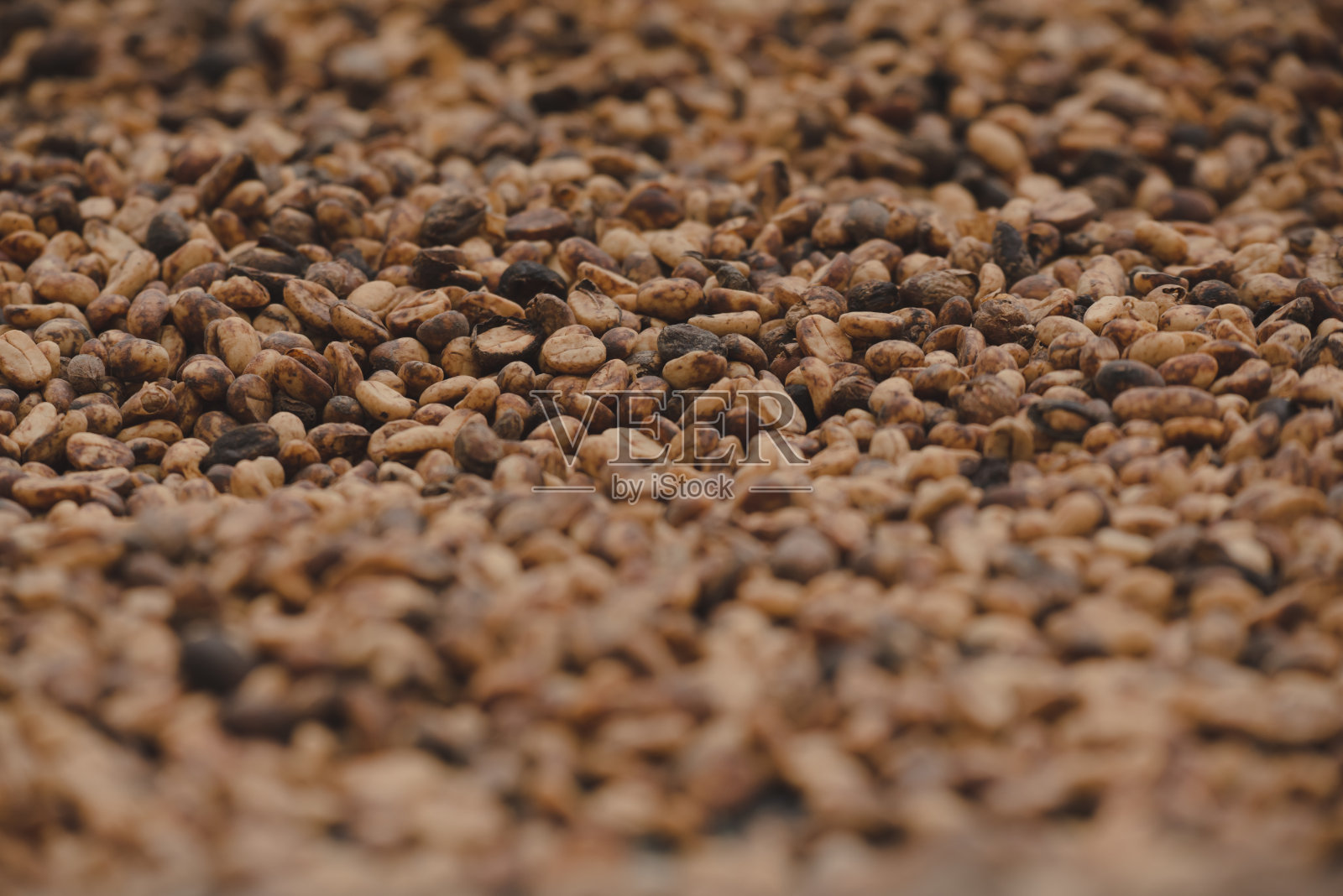 咖啡豆照片摄影图片