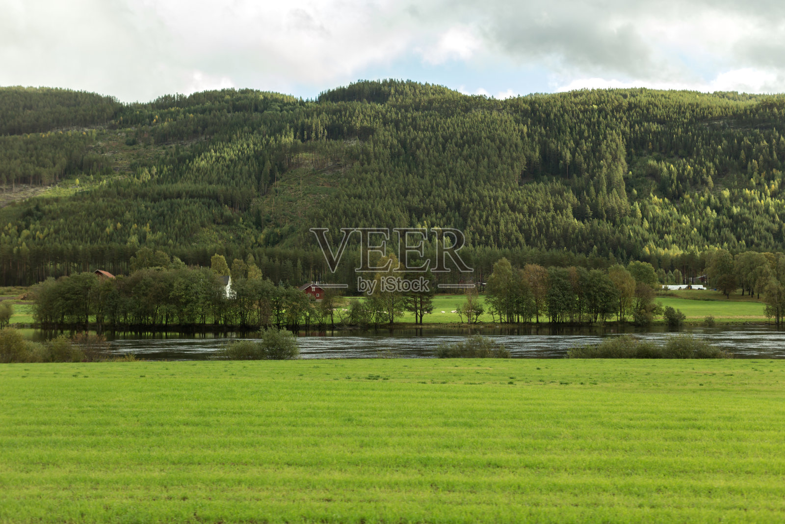 挪威的河流和森林景观照片摄影图片