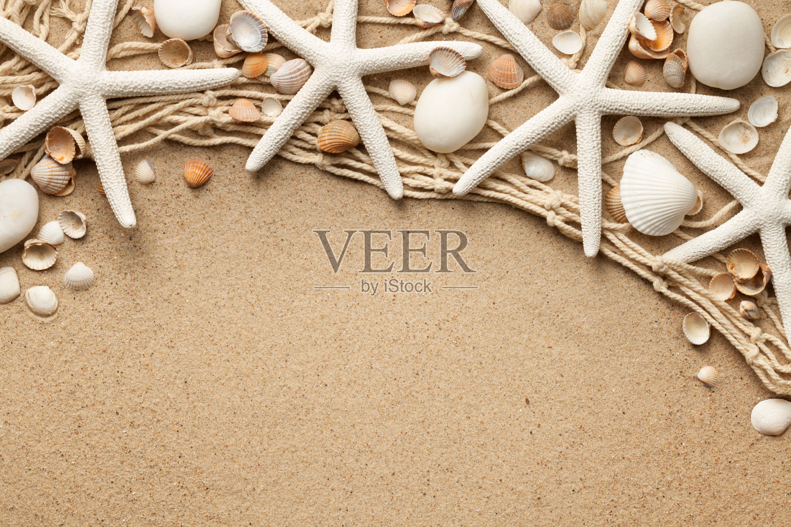 沙滩上的白色海星照片摄影图片