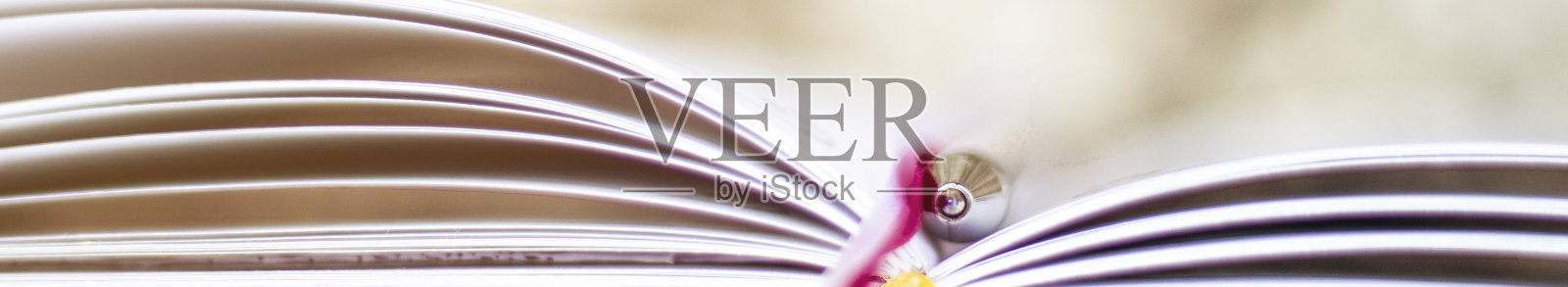 非裔美国左撇子商人手持笔书写新的约会信息在组织者的概念，混合种族男性的手做笔记在个人纸计划表在办公桌上，近距离观看照片摄影图片