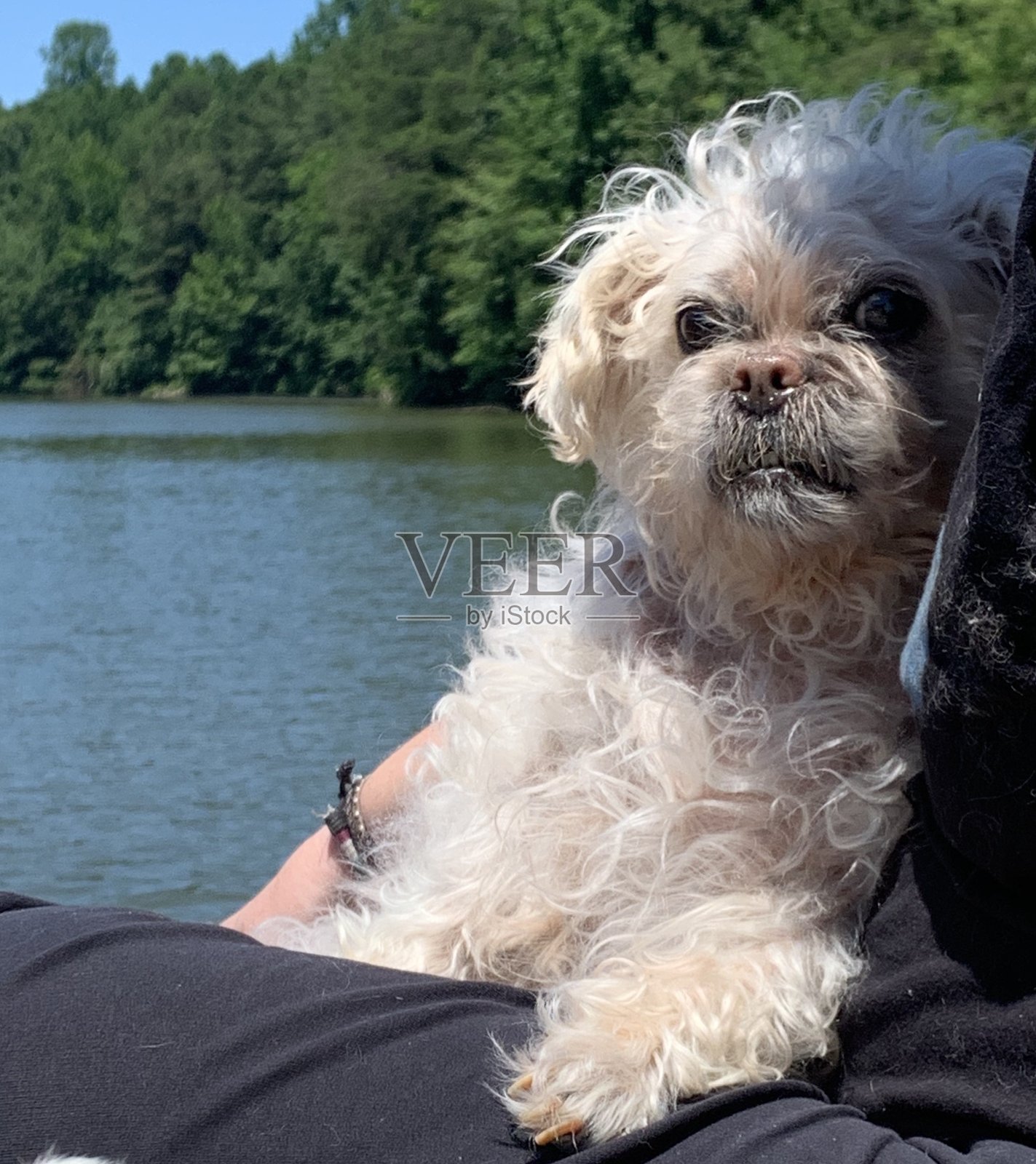 坐在湖边照片摄影图片