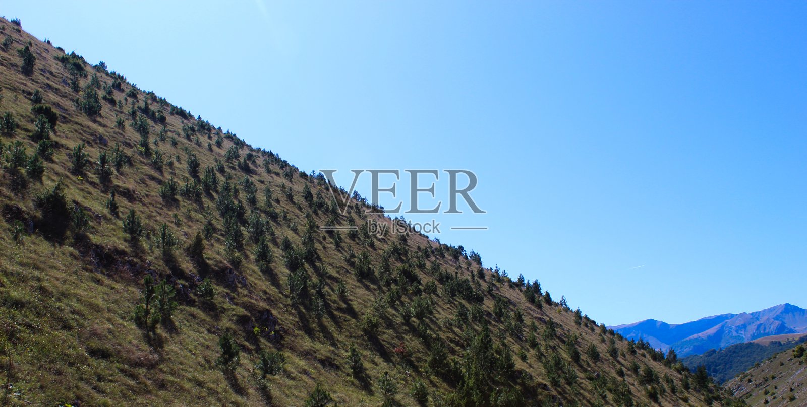 山上长满了针叶树，远处有山。在去Bjelasnica山的路上。照片摄影图片