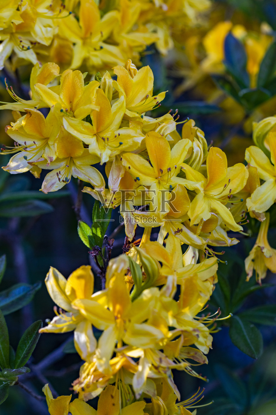 黑海壮丽的自然风光照片摄影图片