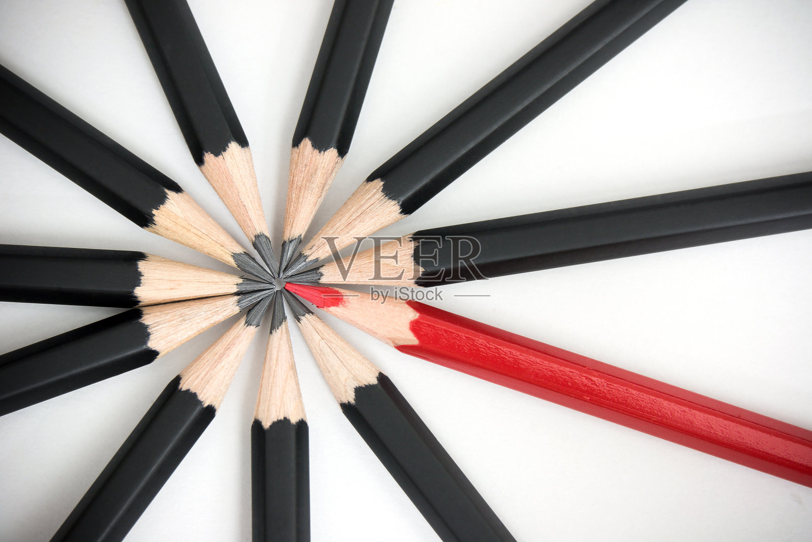 红铅笔从一群一模一样的黑人中脱颖而出。领导力、独特性、独立性、主动性、战略、异议、异思、团队合作等企业成功理念。照片摄影图片