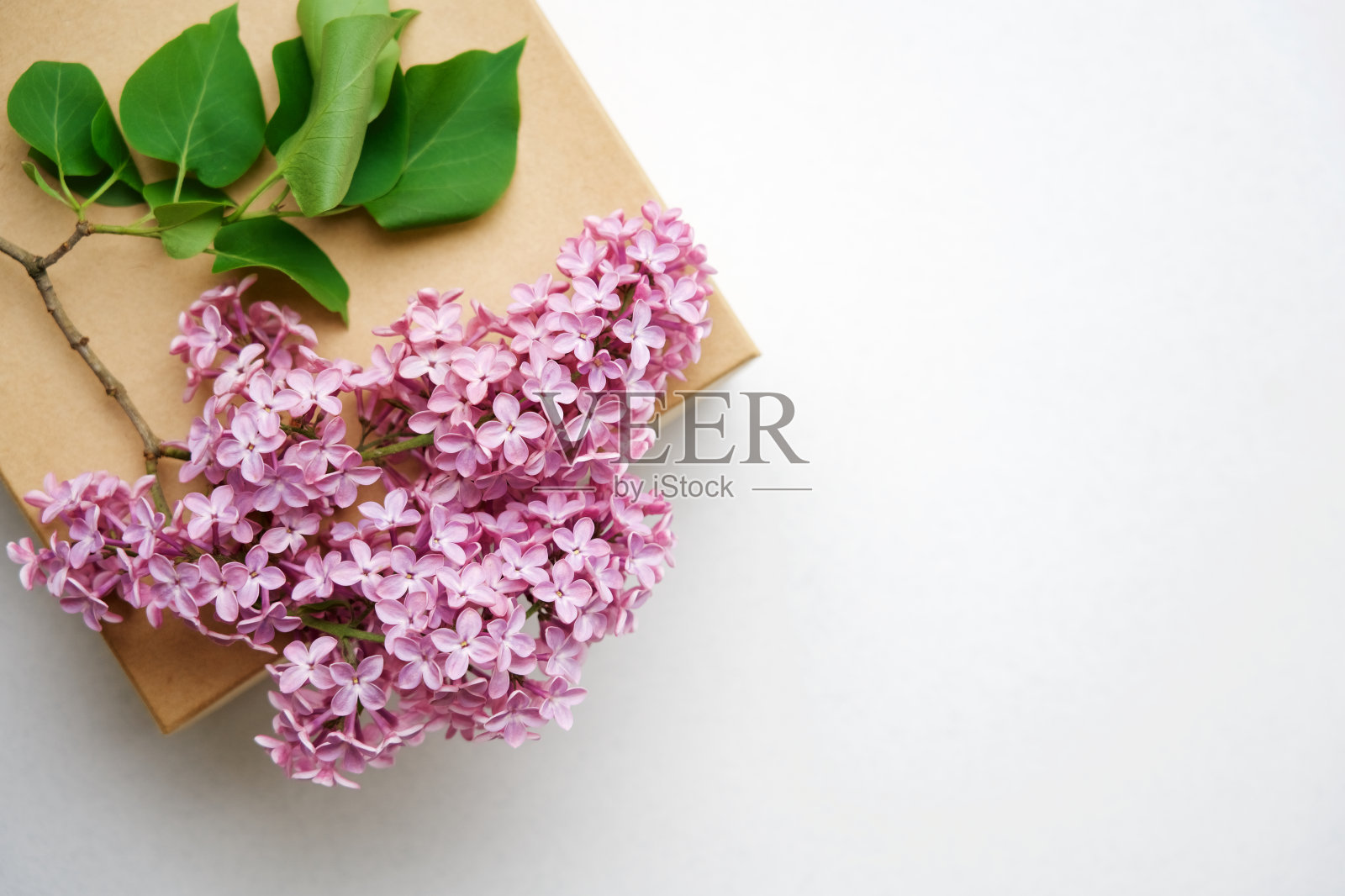 在白色背景上的丁香花的分支与文字的空间。平躺，俯视图照片摄影图片