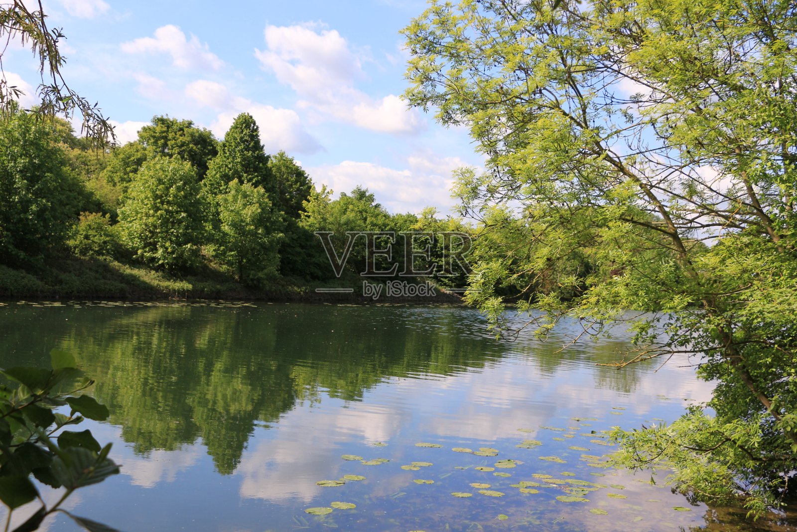 哈姆的利比河上的春天照片摄影图片