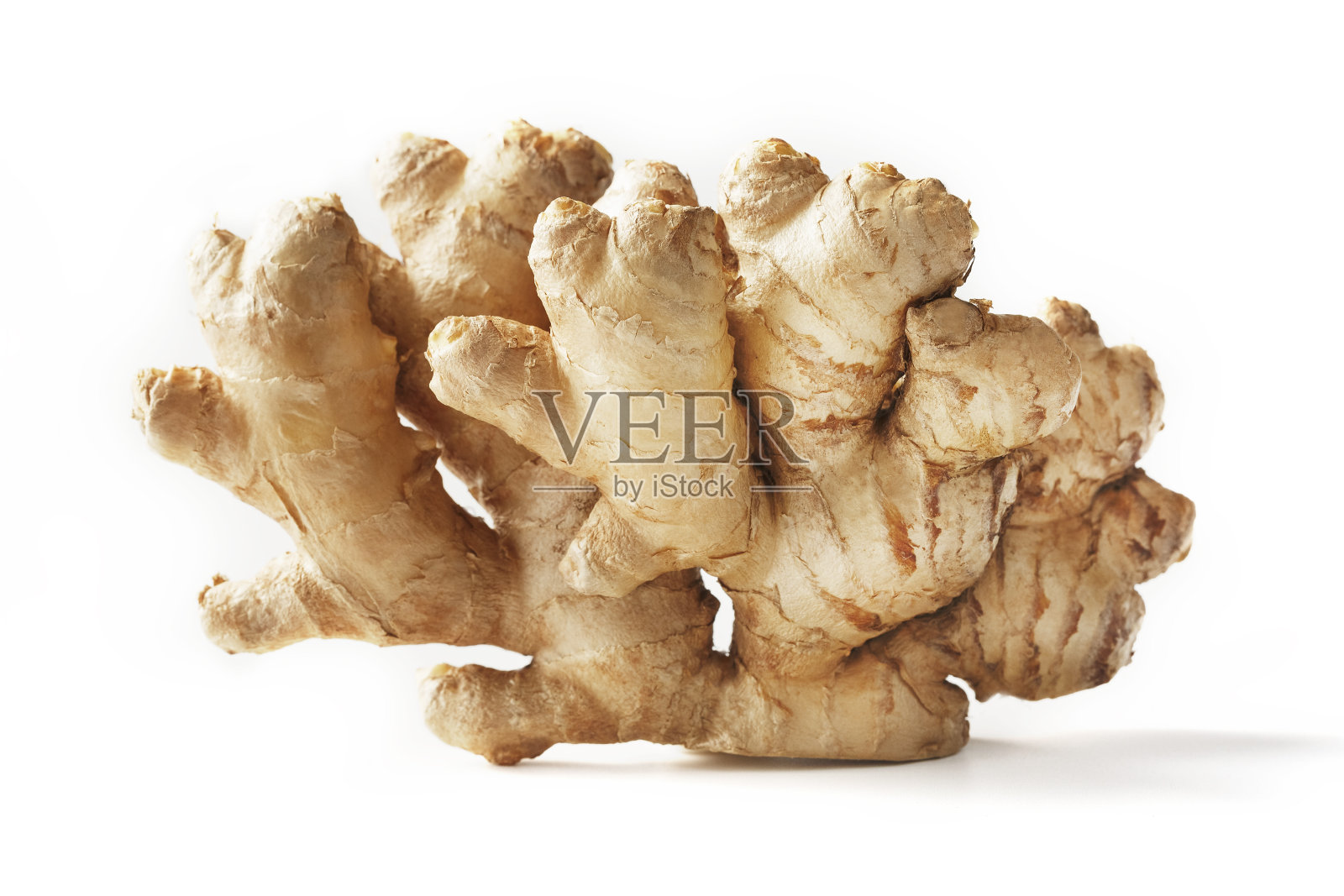 鲜姜根在白色背景上，孤立。姜药店。照片摄影图片