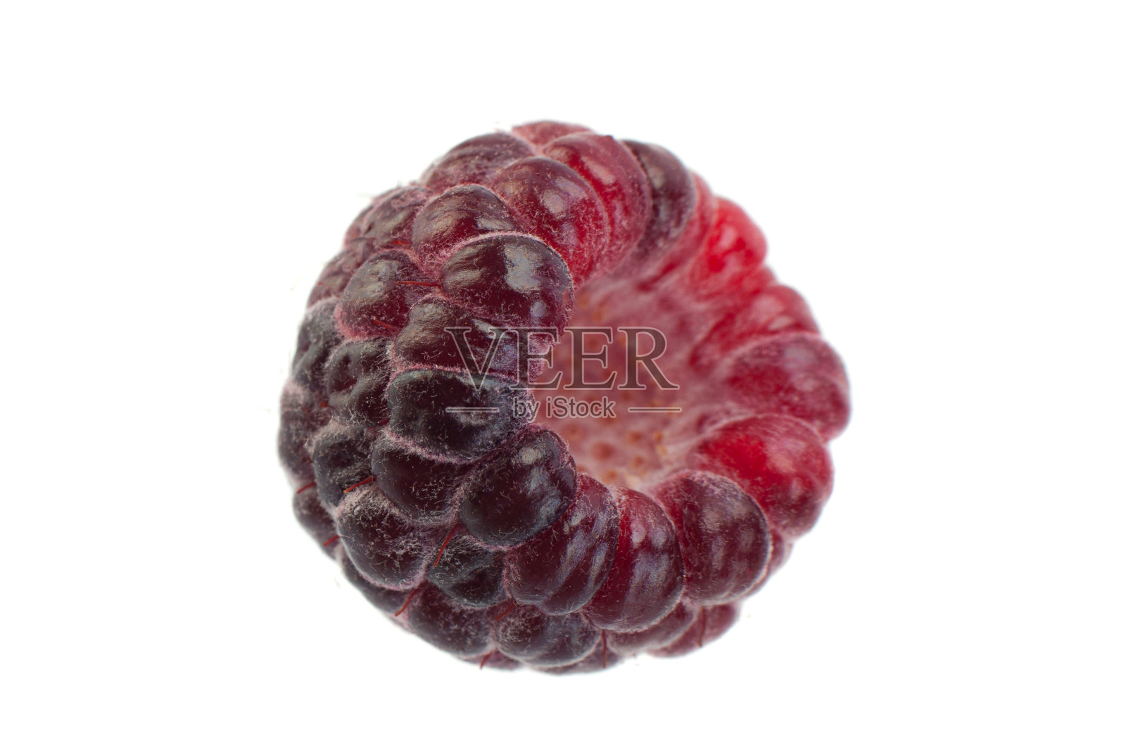 坎伯兰水果混合照片摄影图片